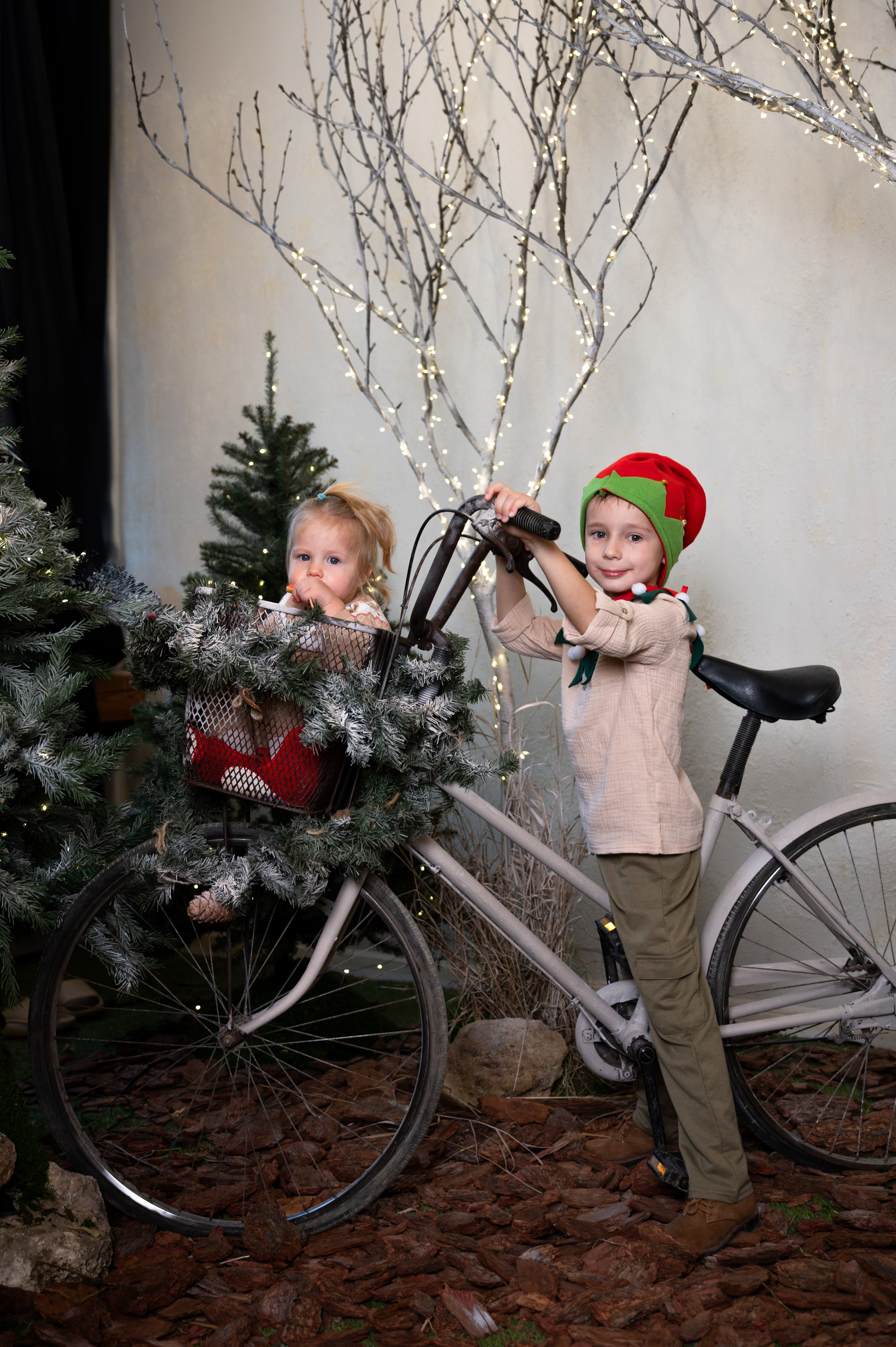 Гномики. Главная