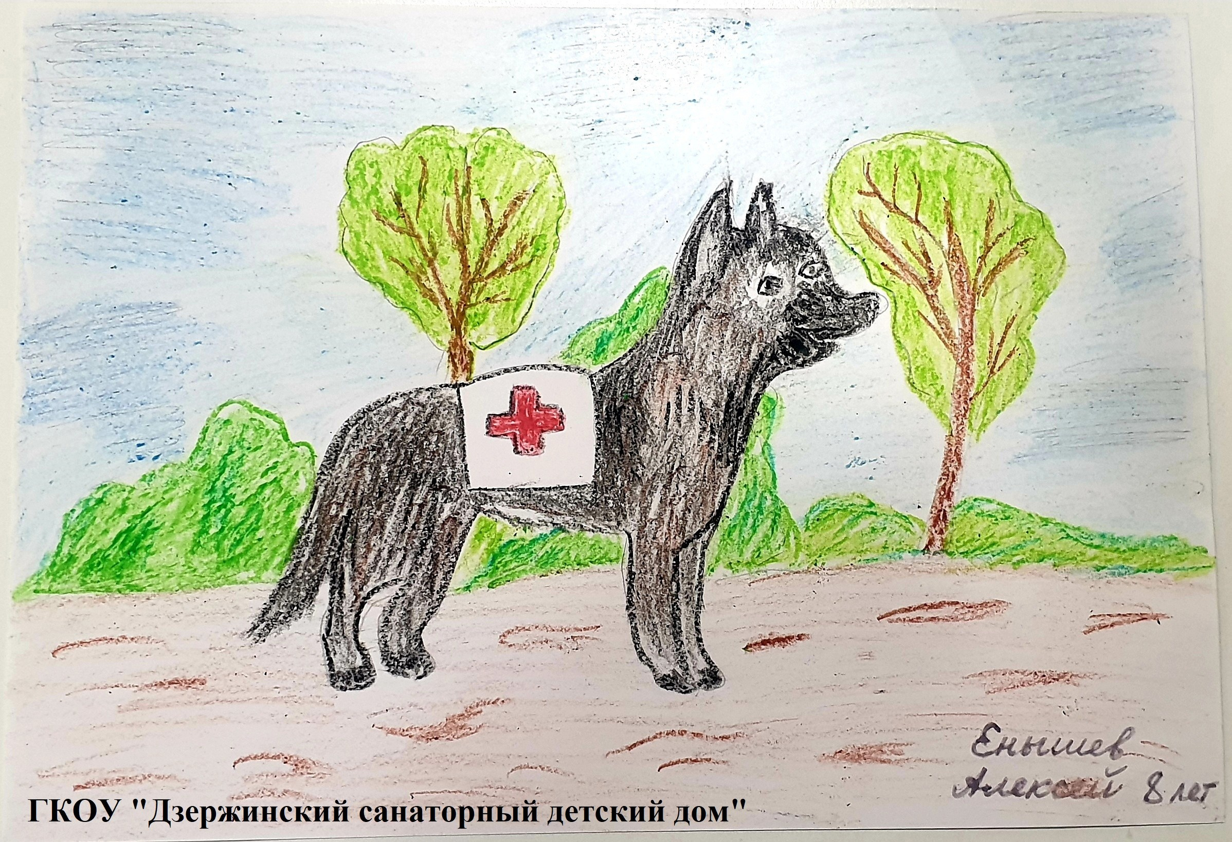 Мероприятия для юных кинологов — «Помним их имена», «Портрет фронтовой собаки». НРОО КЦ "Собаковод"