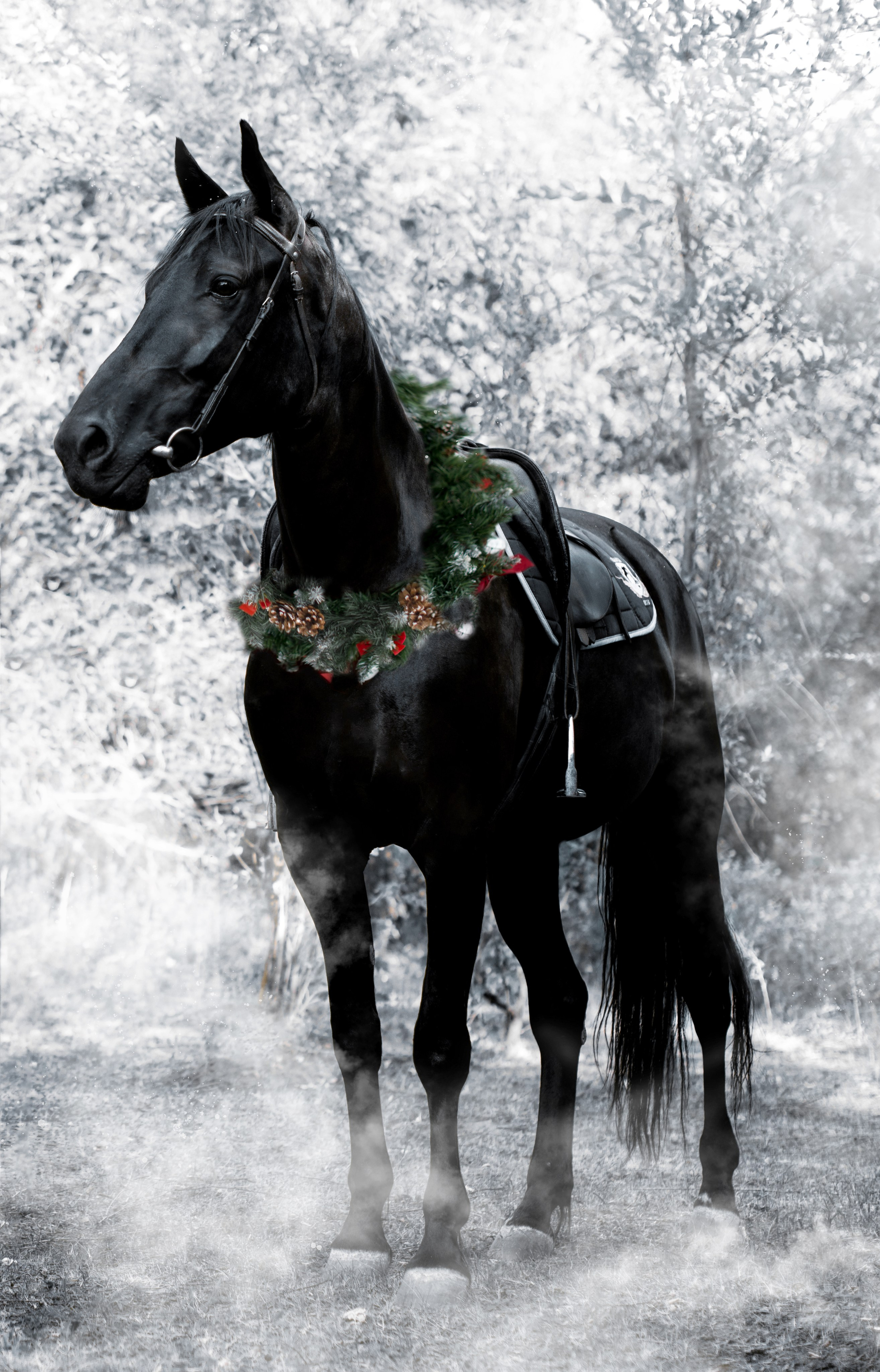 Лошади. Конный фотограф в Саратове Юлия Иванова