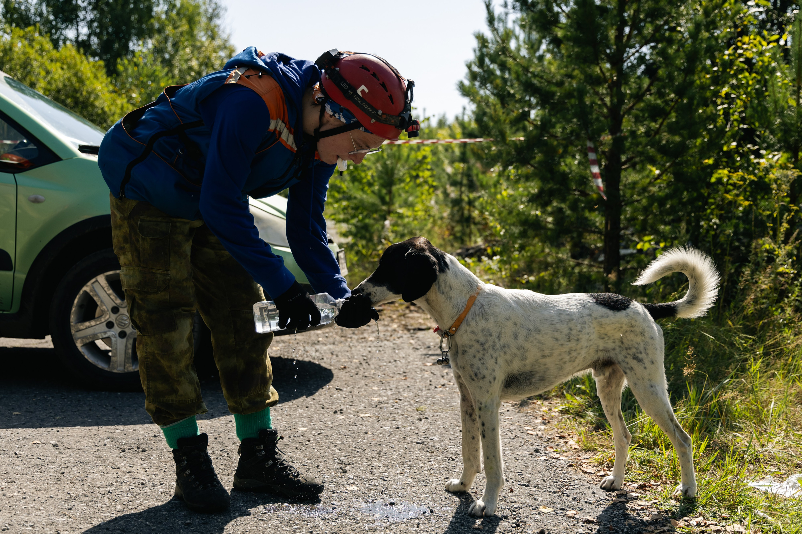 VI ОТКРЫТЫЕ КИНОЛОГИЧЕСКИЕ СОРЕВНОВАНИЯ. ЧЕЛЯБИНСКАЯ ОБЛАСТЬ 2025. Репортажный фотограф Наталья Лапцевич
