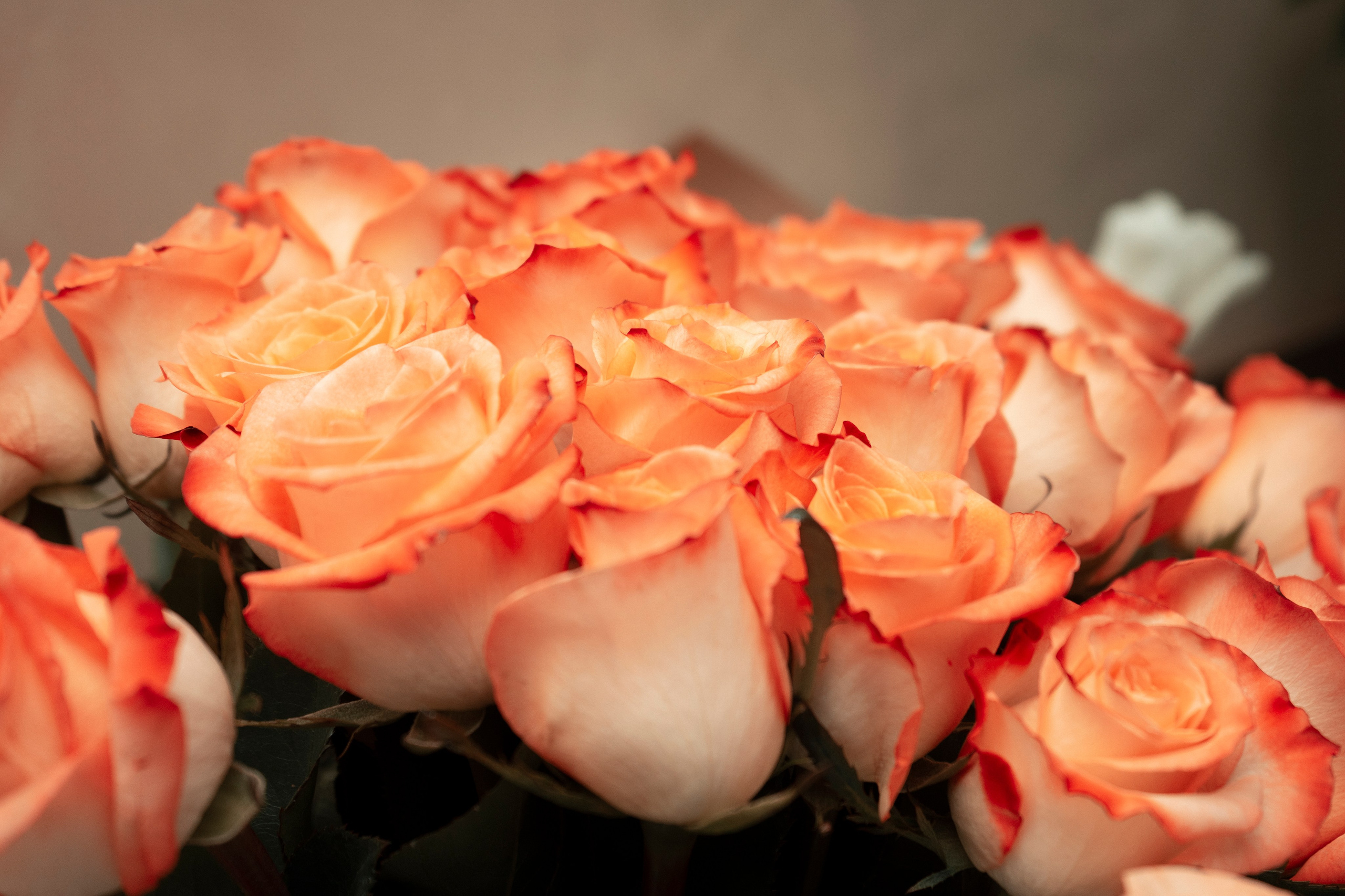 Свадебные фотографии из отеля Чингисхан города Улан-Удэ Алексея и Оюны. Фотограф в Улан-Удэ. Свадебный фотограф в Улан-Удэ