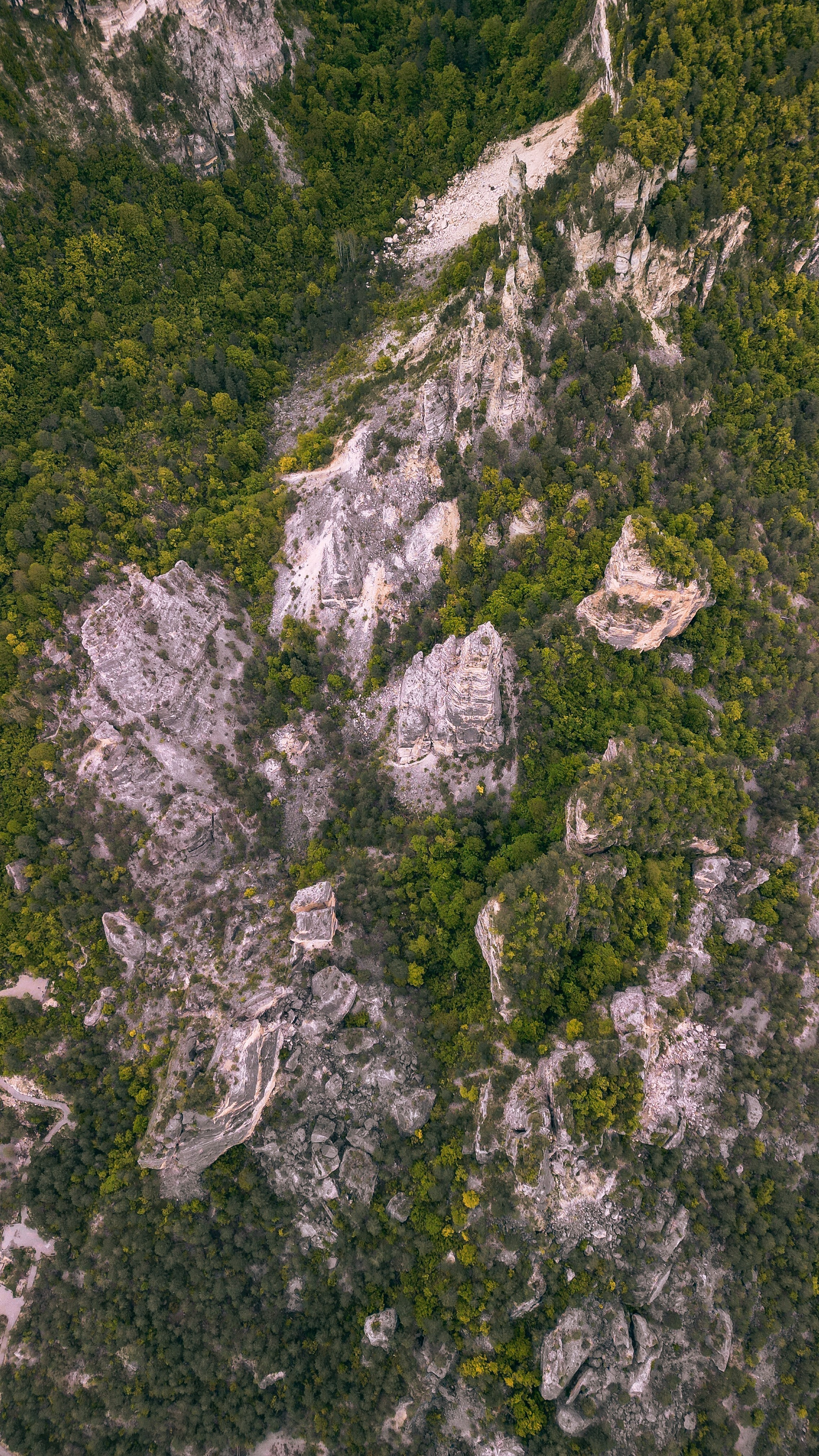 Грузия 2023. Человек с фотокамерой