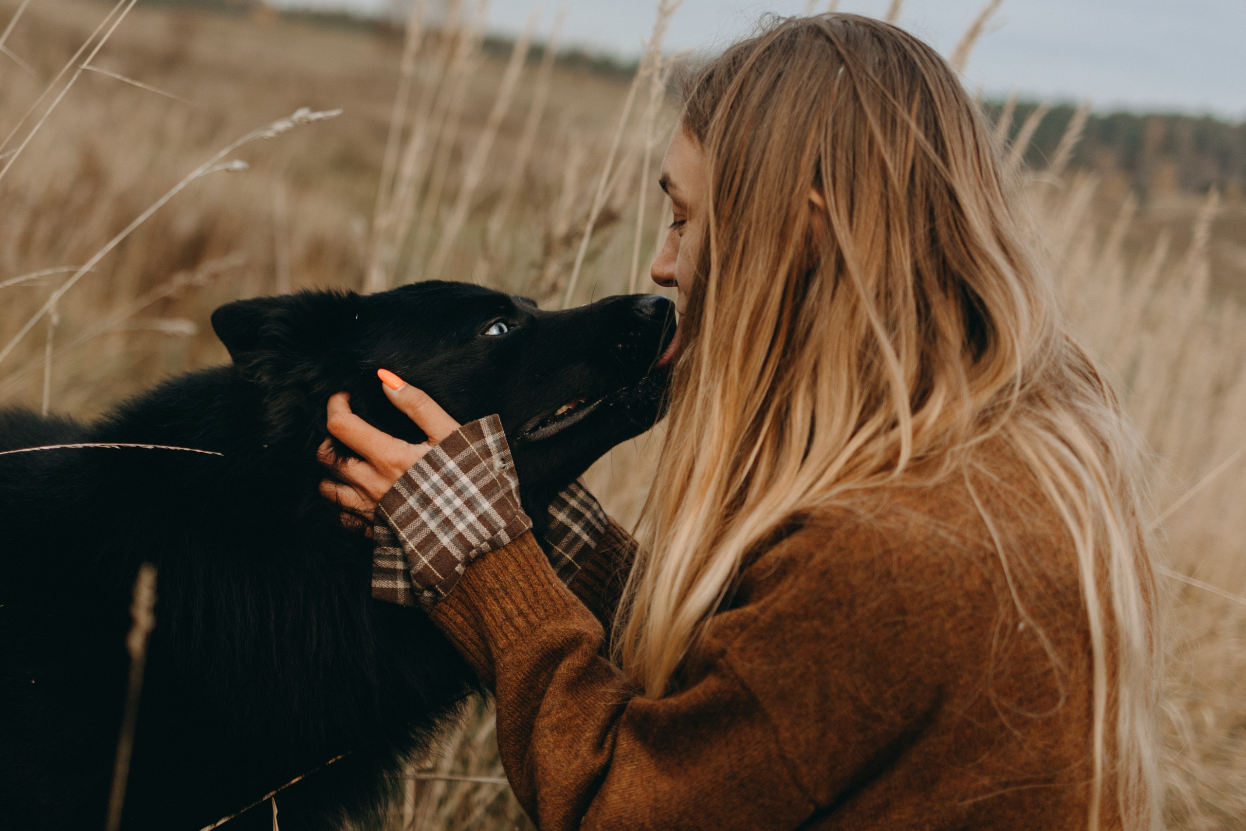 Лора и Джанго. Фотограф — Анималист | Санкт-Петербург