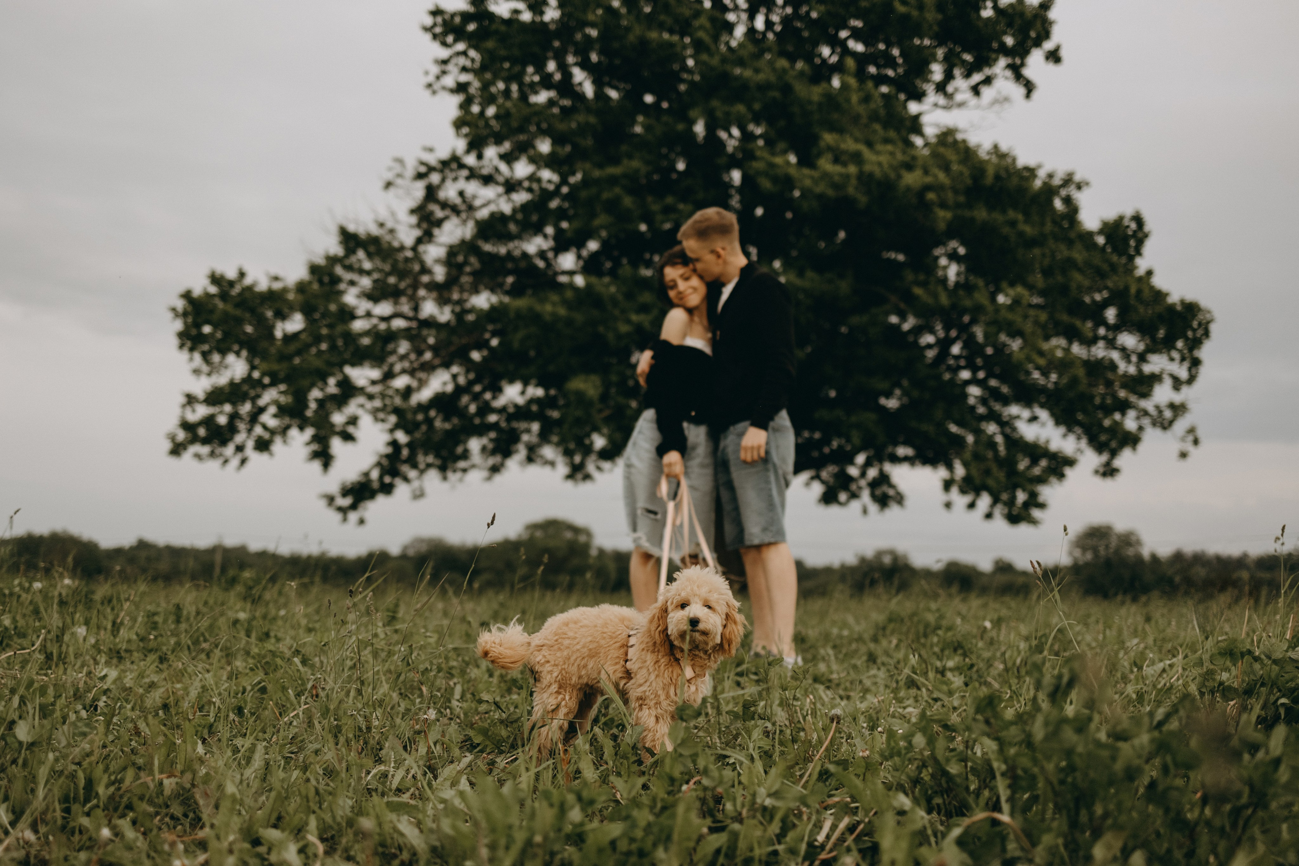 Мия и ее семья. Фотограф — Анималист | Санкт-Петербург