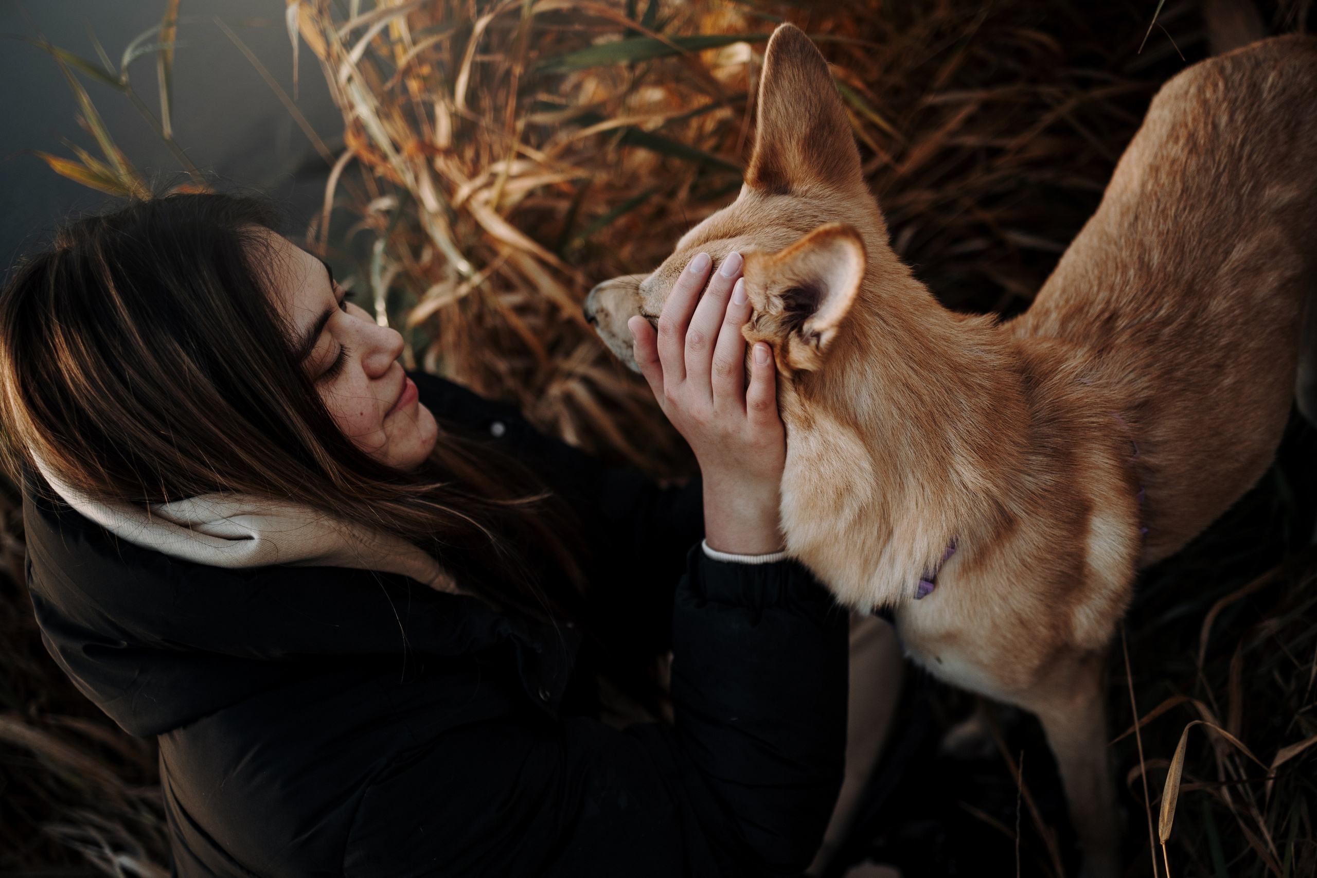 Юля и Джесси. Фотограф — Анималист | Санкт-Петербург