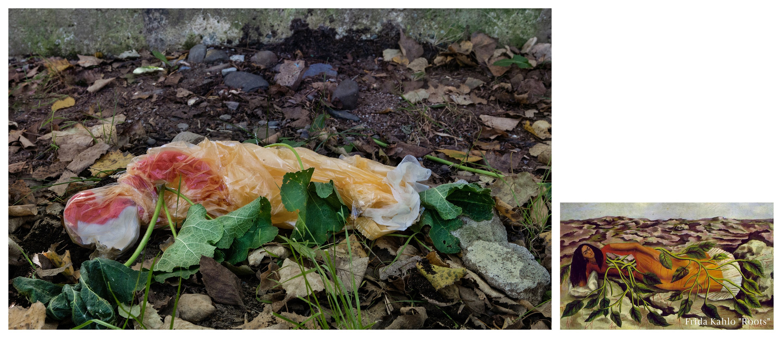 “Plastic bag as a found object” project. Art photographer Serdyuk Yulia