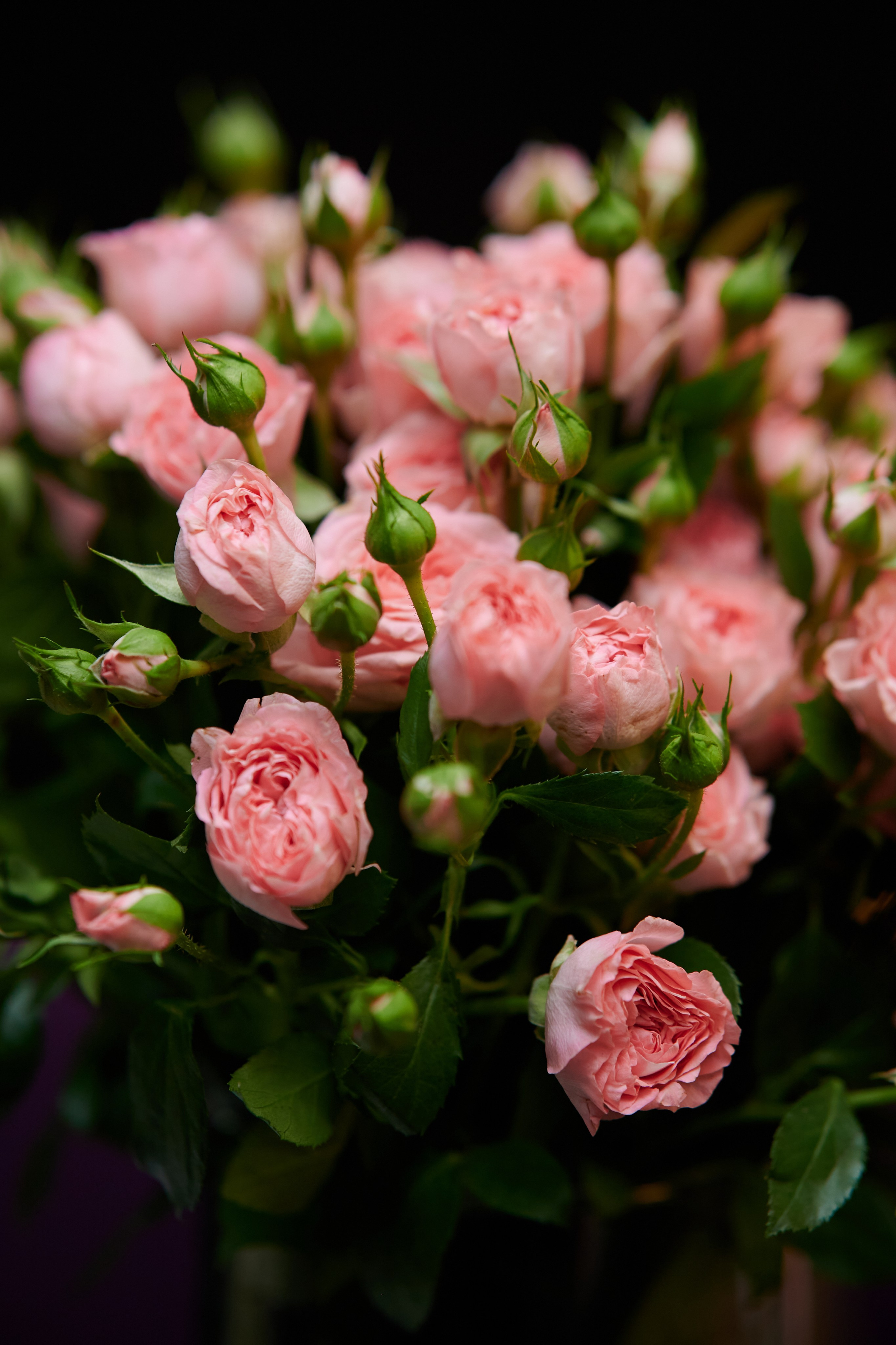 Lotte Woman club. Профессиональный репортажный фотограф в Самаре Никита Королев