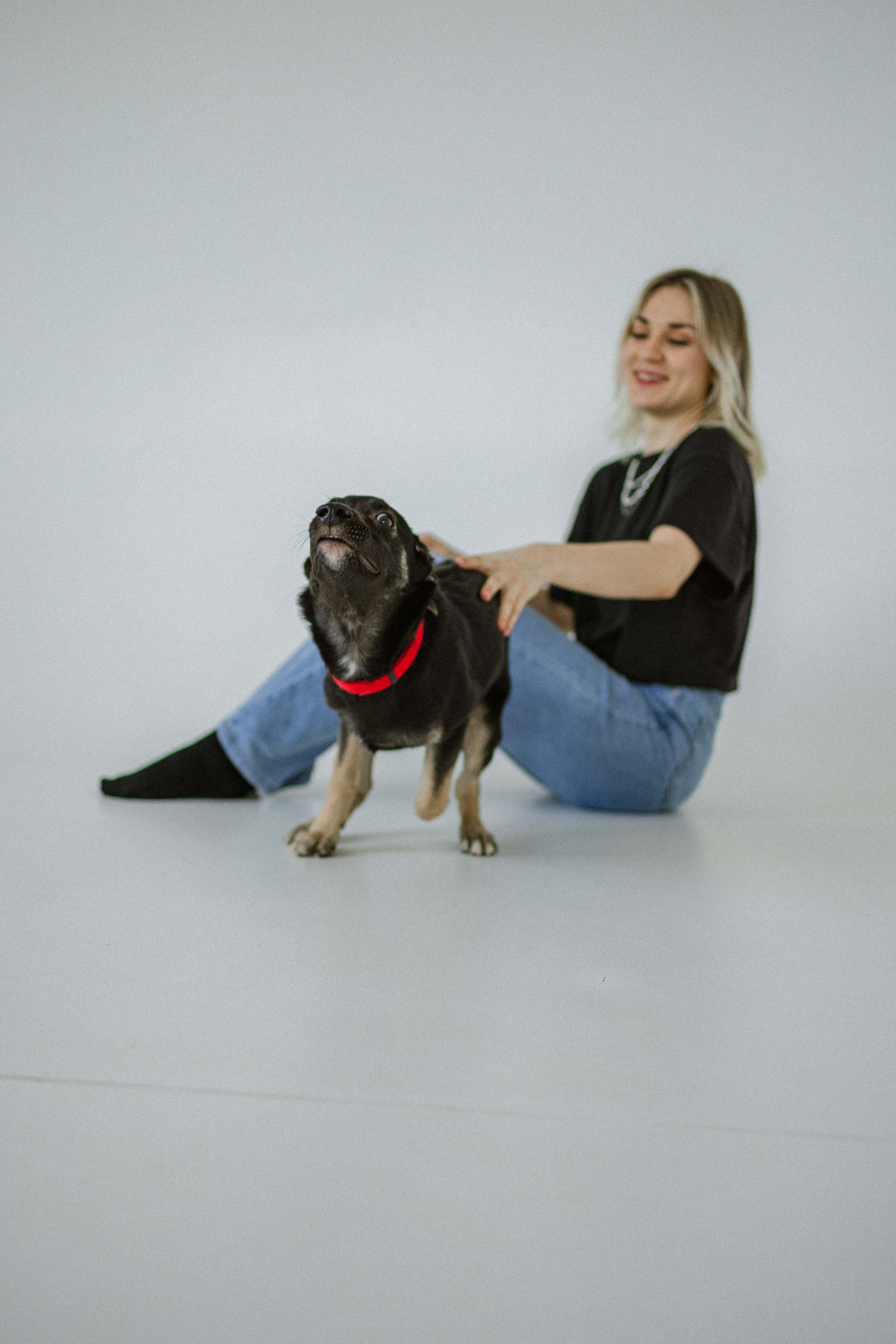 Крис и Тэдди. Фотограф-анималист в Москве Лера Черноног