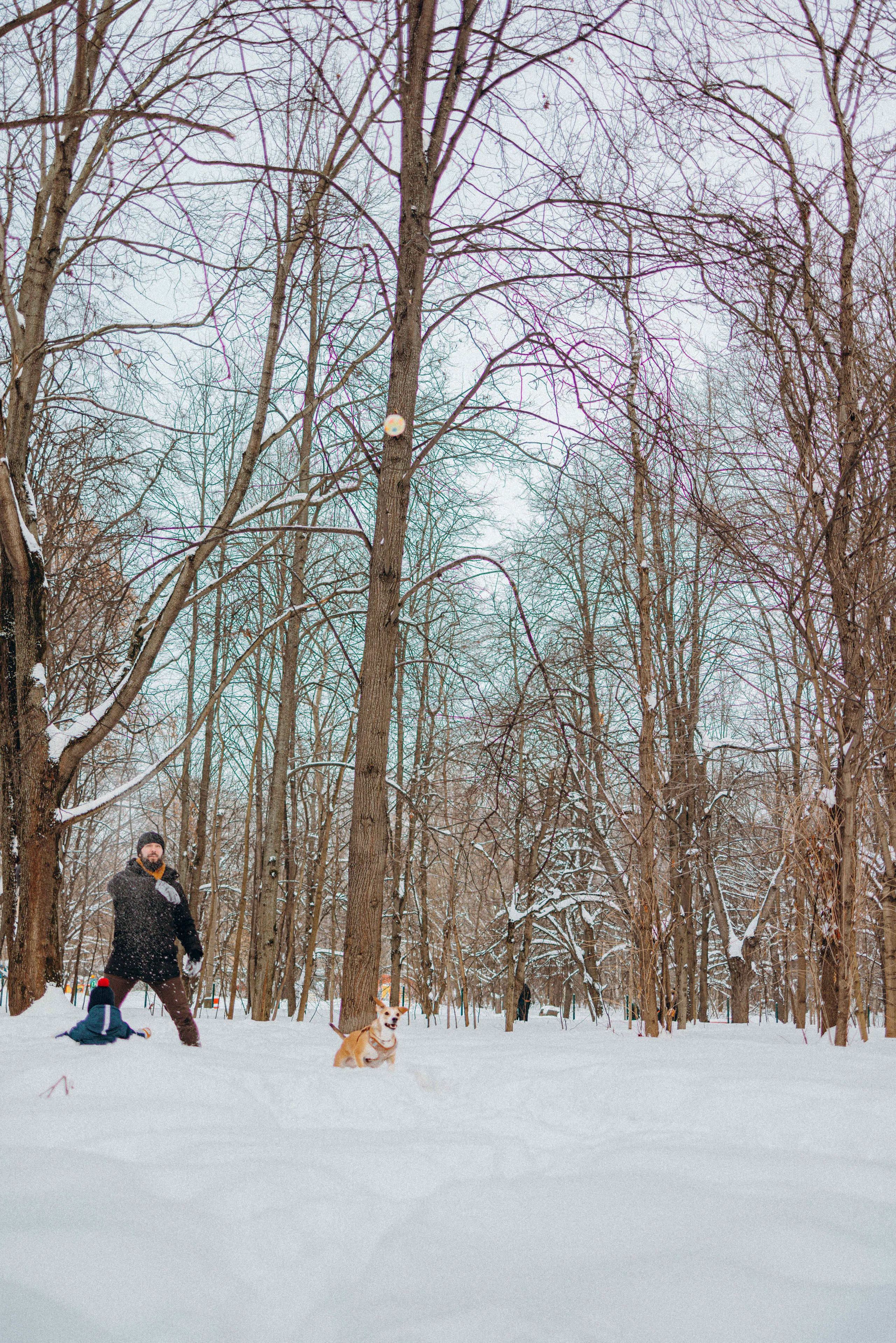 Свобода и ее семья. Фотограф-анималист в Москве Лера Черноног