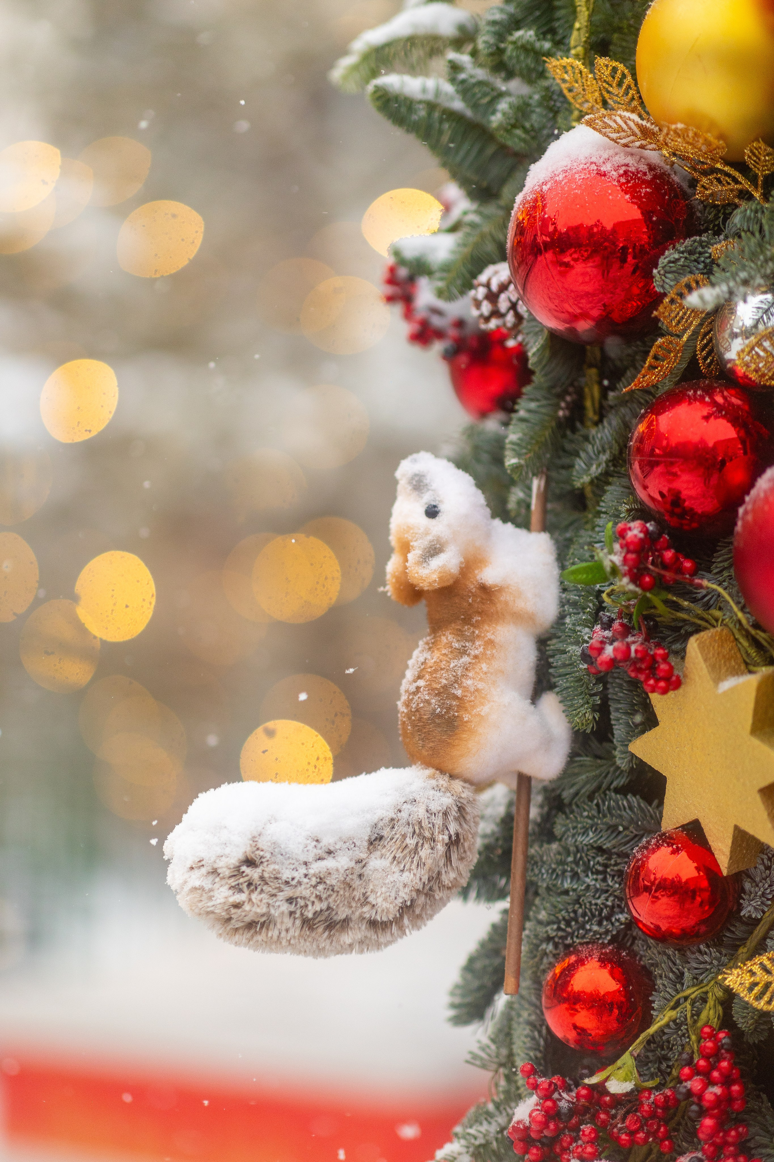 Даша, прогулка по Москве. Фото и видео Москва, Московский. Свадебный фотограф, видеограф, фотосессии, видеосъемка