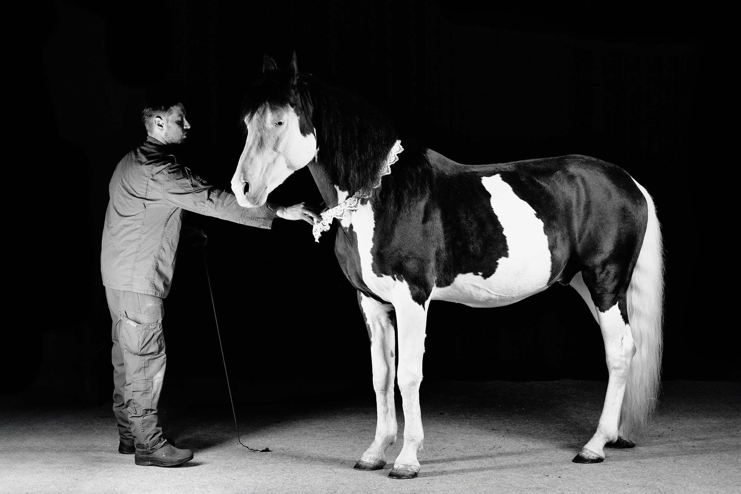 SHUSTOVI/ANIMALS. Sveta GOSHTAUTAS фотограф Пермь