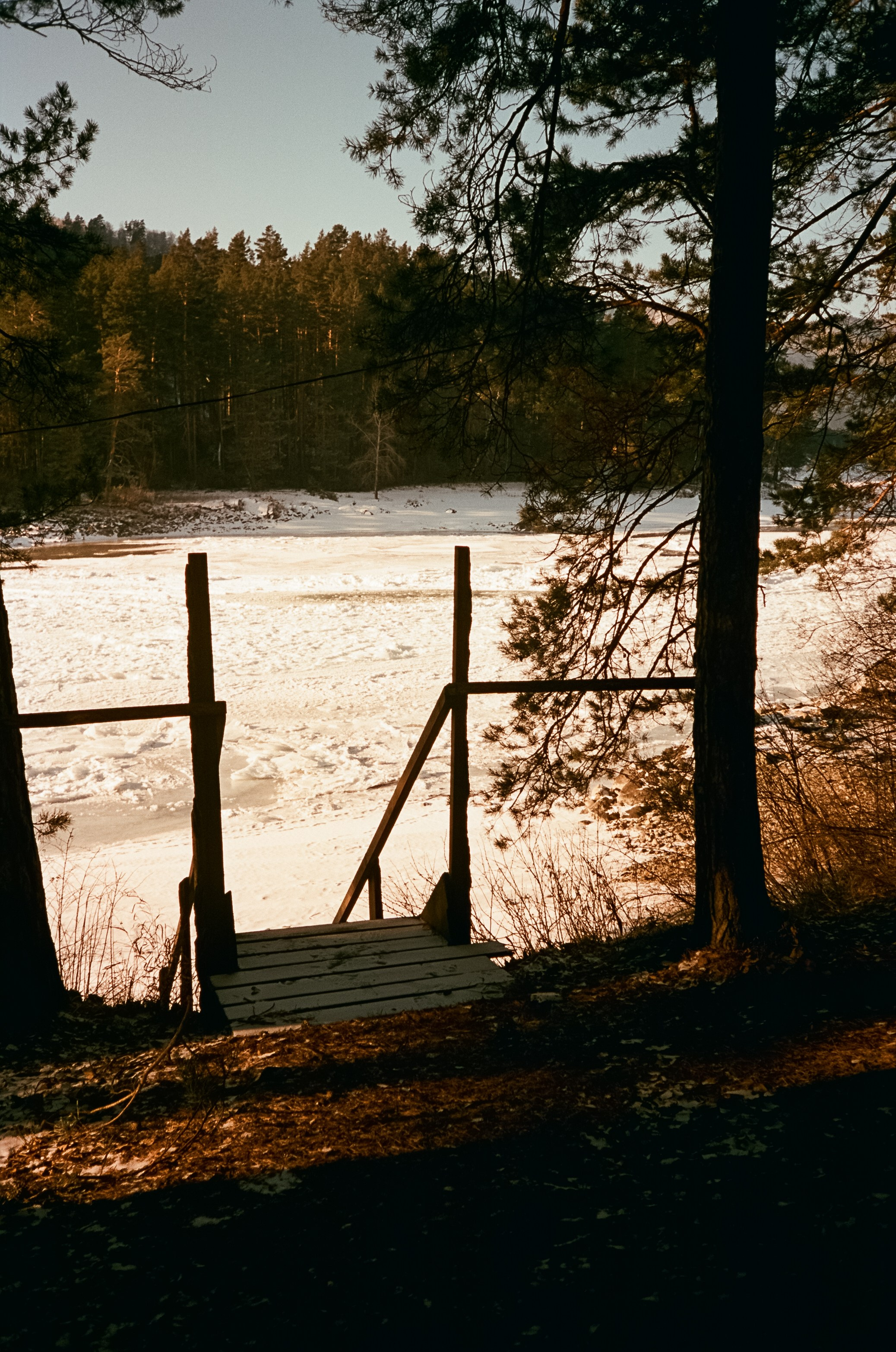 Кызыл-Таш и Семинская поляна. Катунь, пляж, мостки и сосны. Фотограф-документалист Мария Осокина
