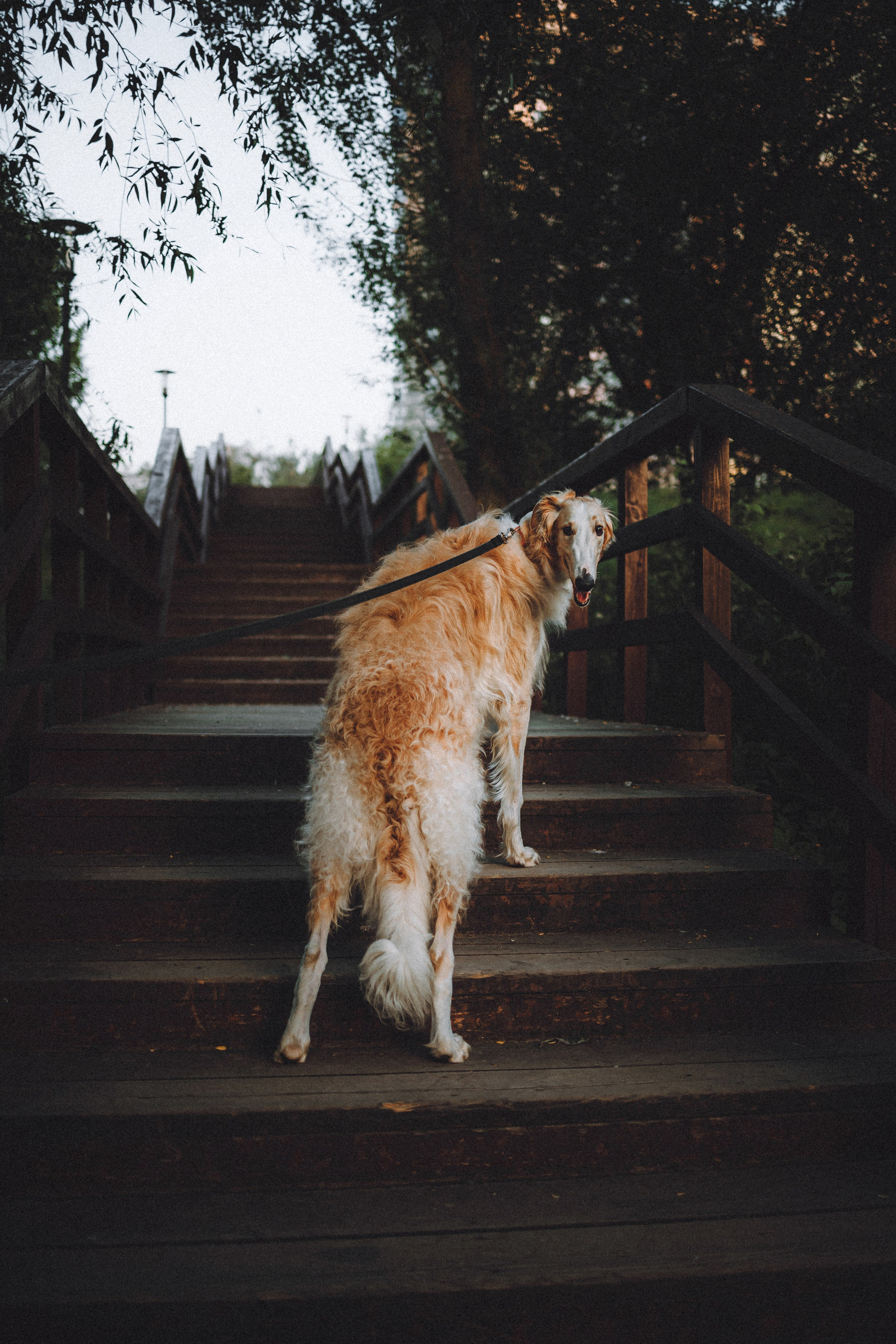 Илай, Зайка и их семья