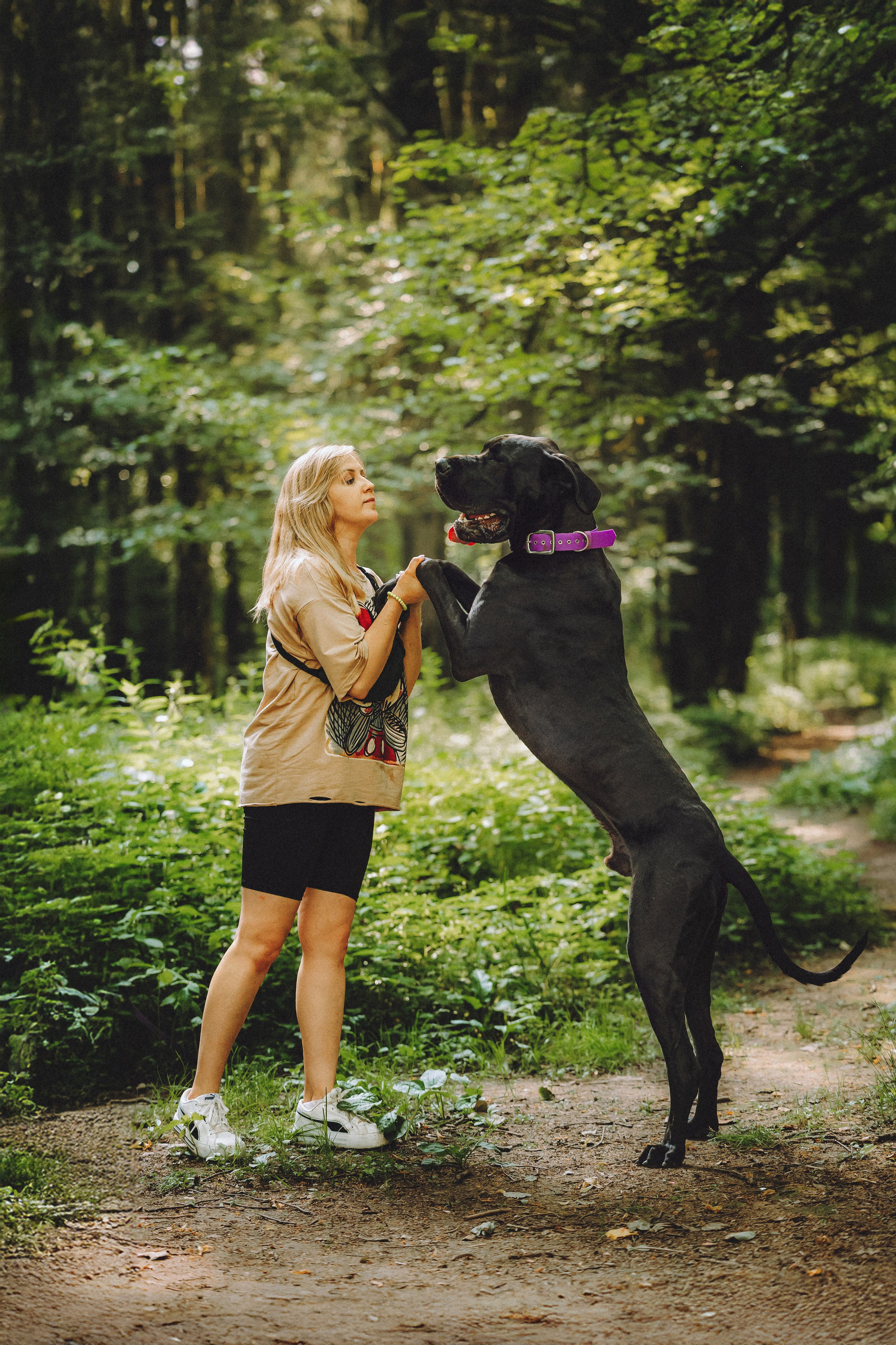 Катя, Андрей, Гектор, Ричи, Тортик и Трой