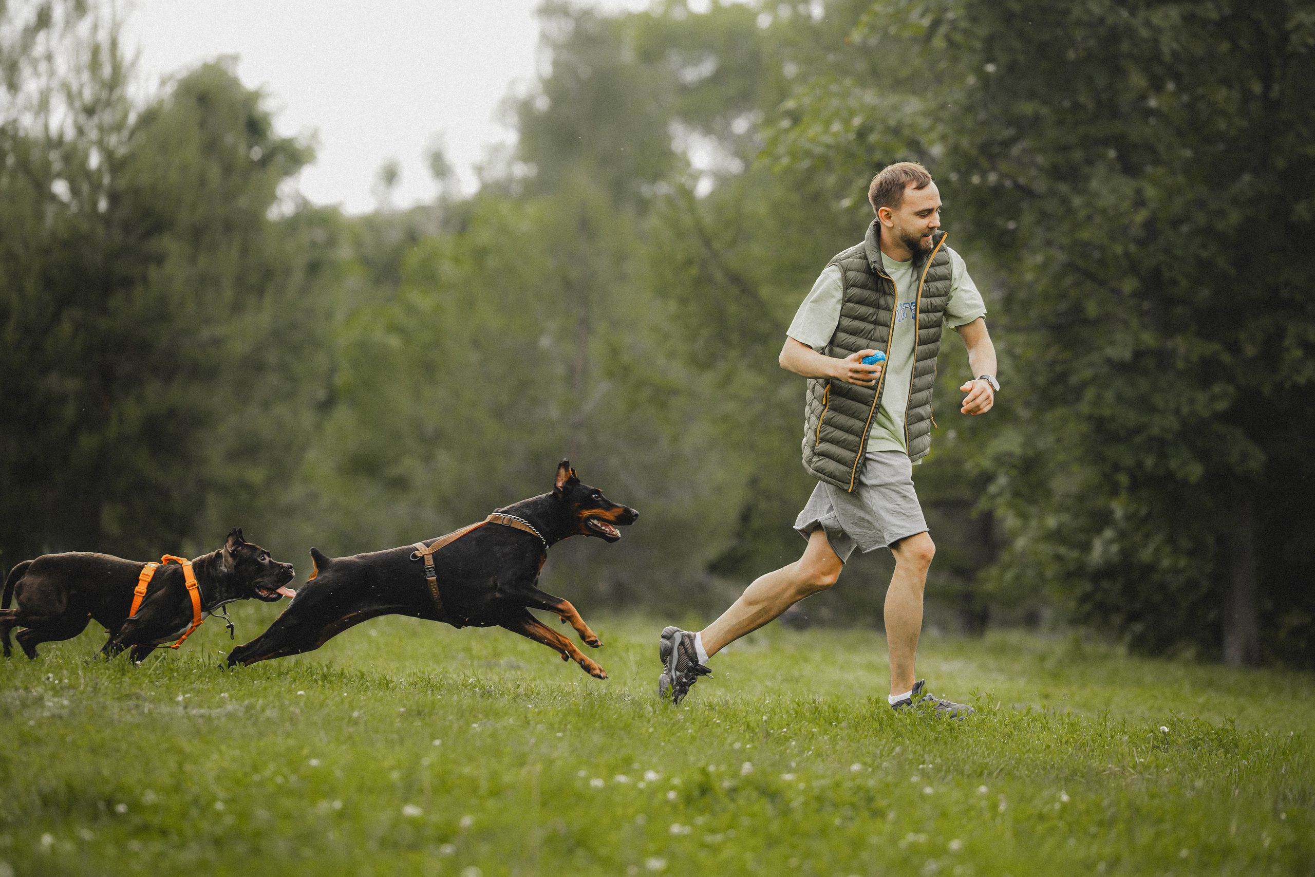 Паша, Хайди и Тея