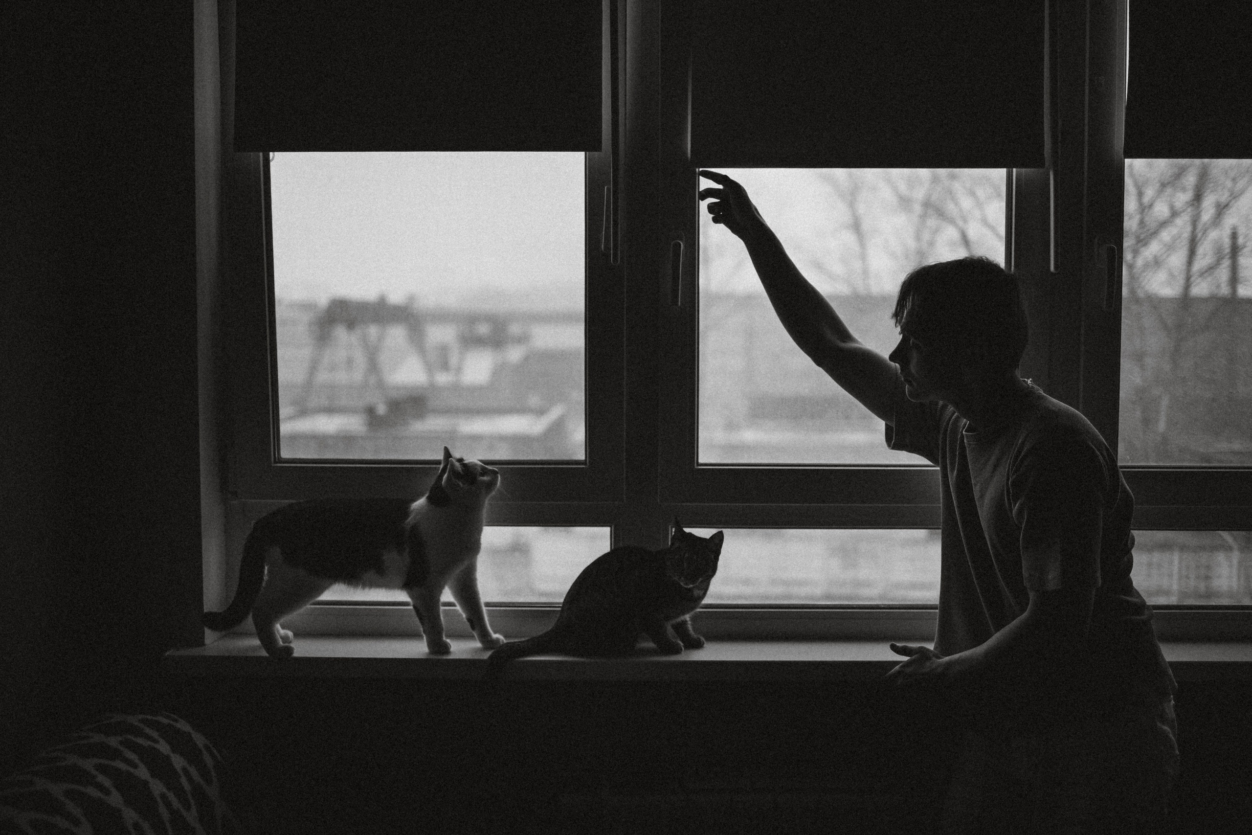 Рыся, Кепа и их семья