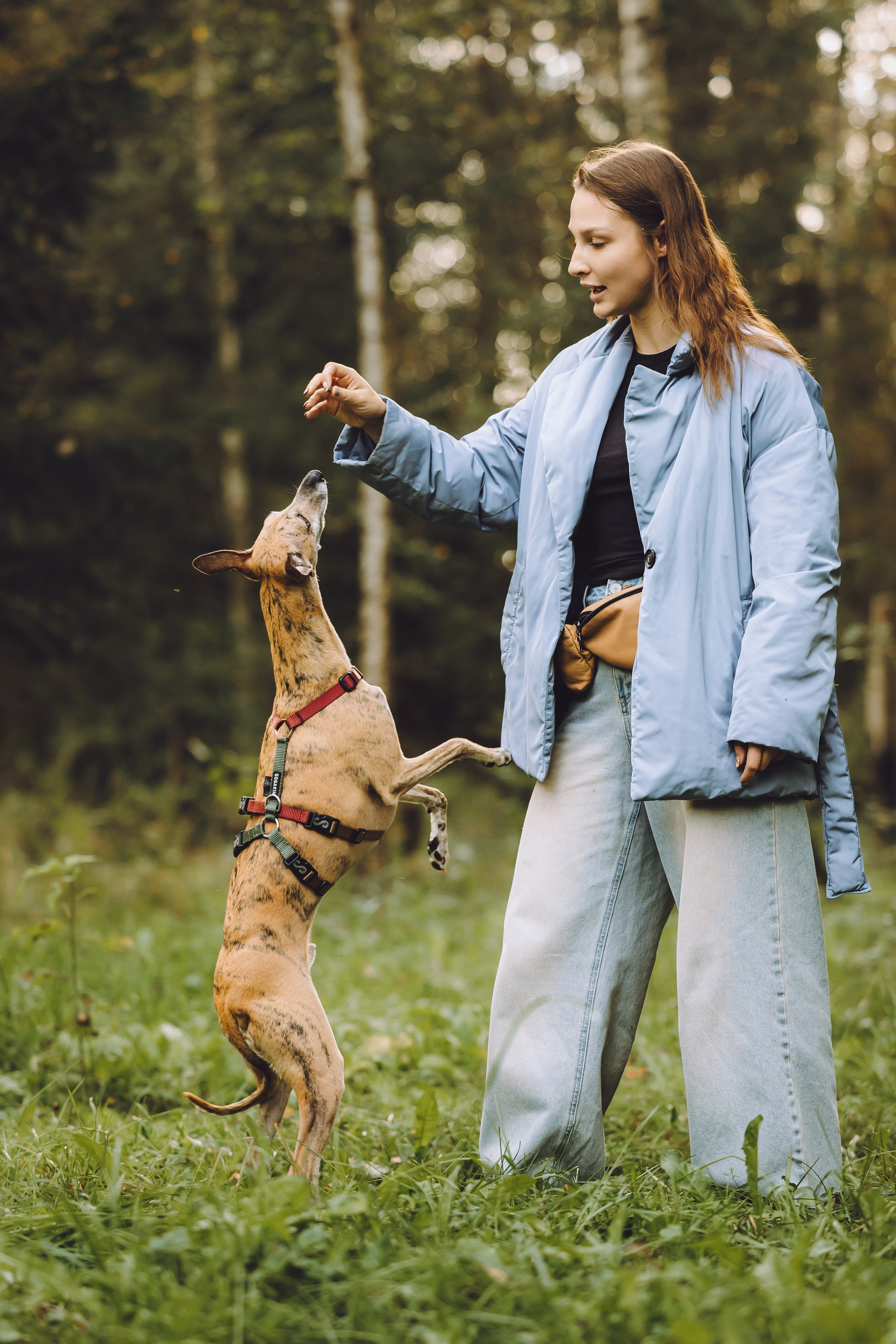 Выездной дог-тренинг от школы «Шерсть имею», Тованово