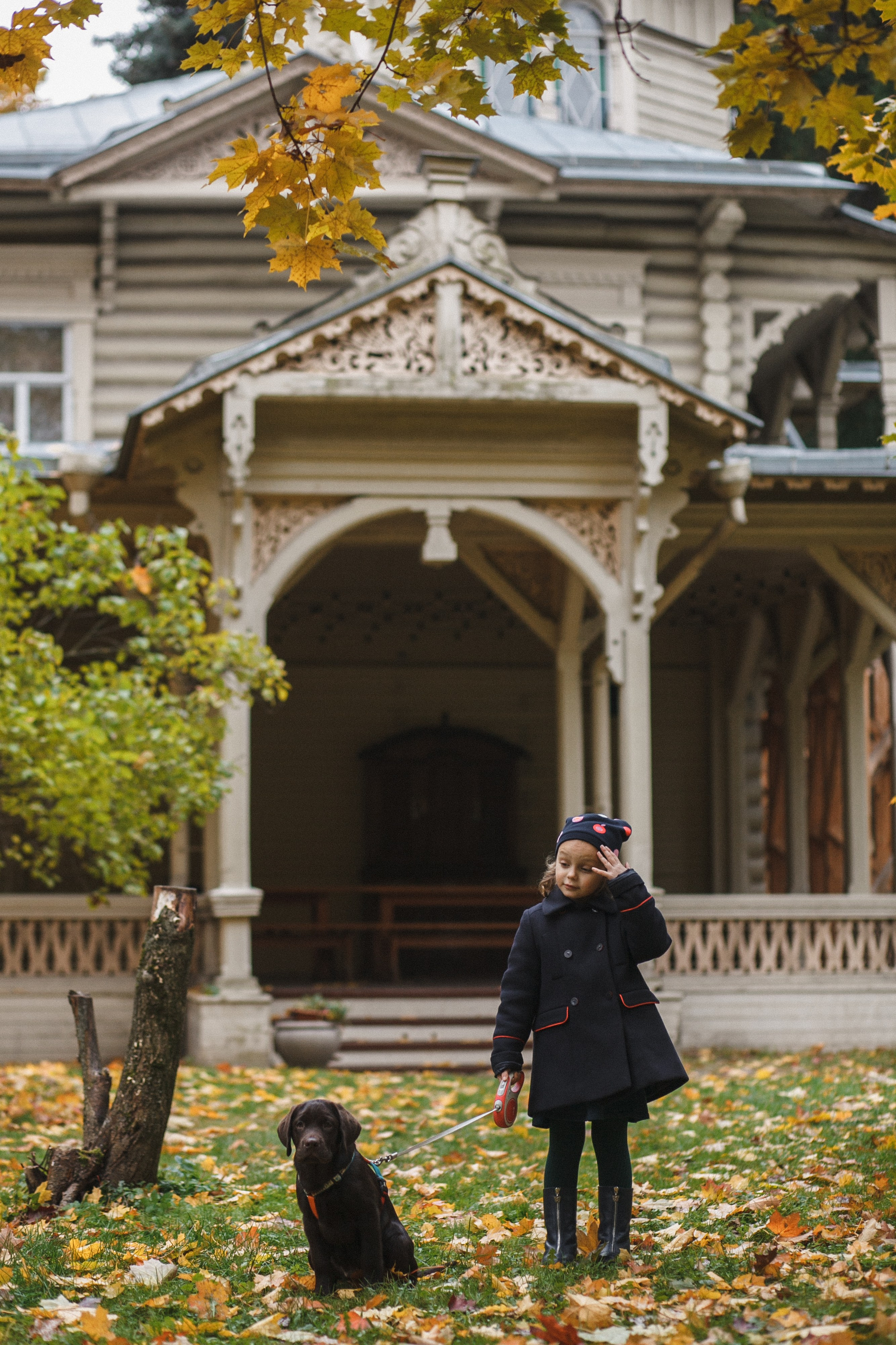 4 ноги, Терем, чай и 1 маленький хвост. Семейный фотограф, свадебный фотограф, женский портрет в Санкт-Петербу