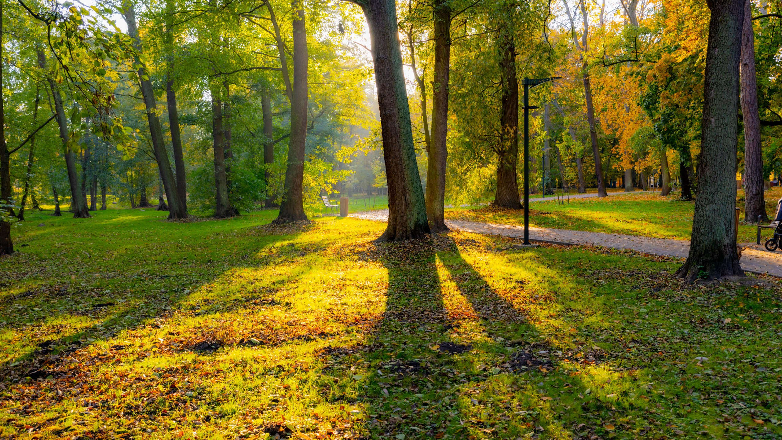 2024 10 Зеленоградск, Светлогорск, Куршская коса. Фотографии