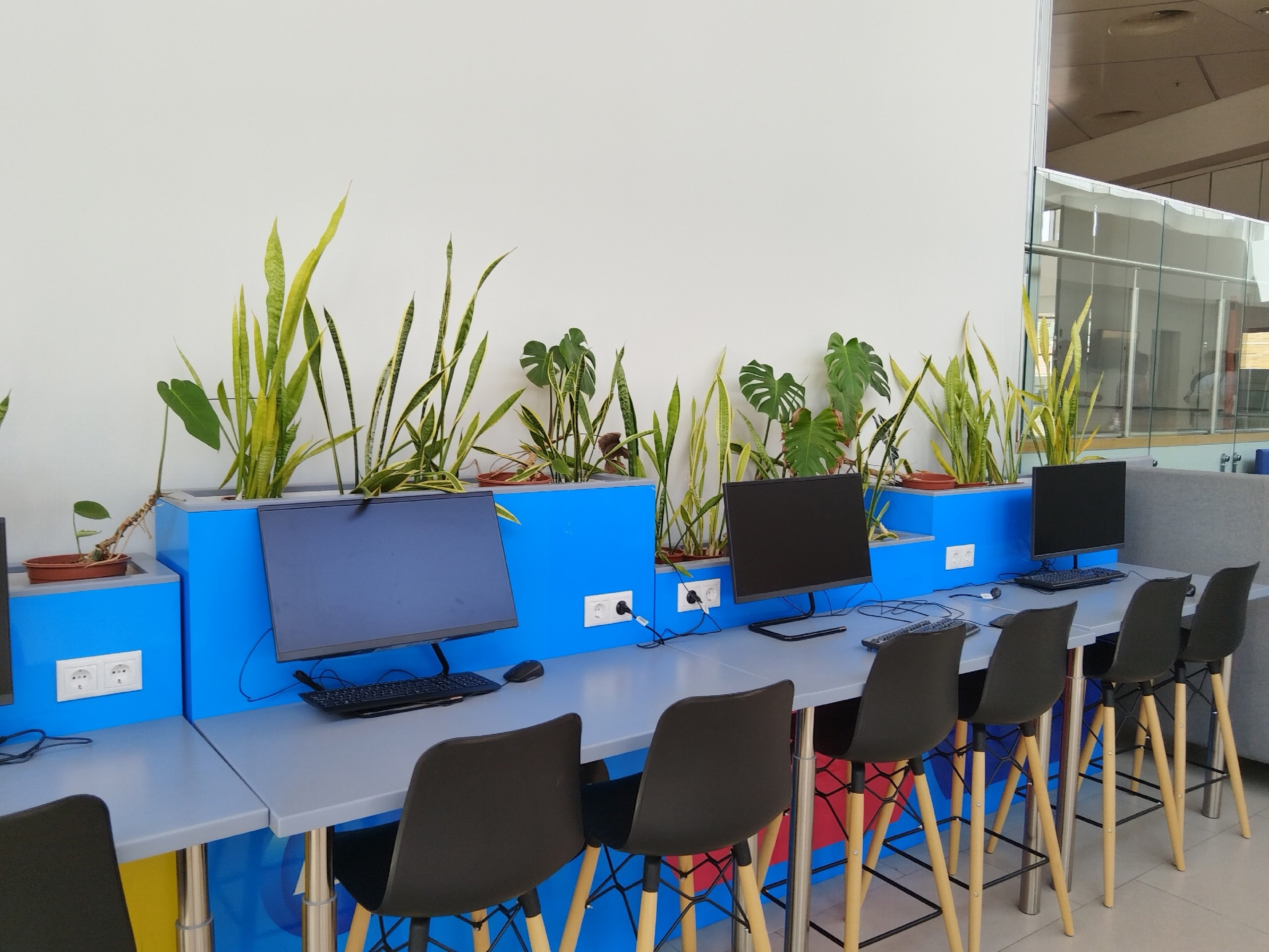 Экскурсия «по кампусу СПБГУ «Михайловская дача» (02.08.2025) Автор: Марина Чумакова