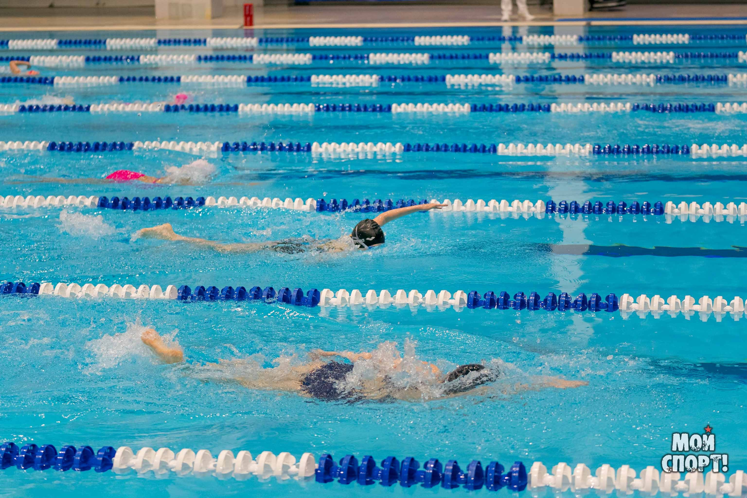 Соревнования по плаванию на призы Деда Мороза. Студия «Мой Спорт!» — все о спорте в Якутии