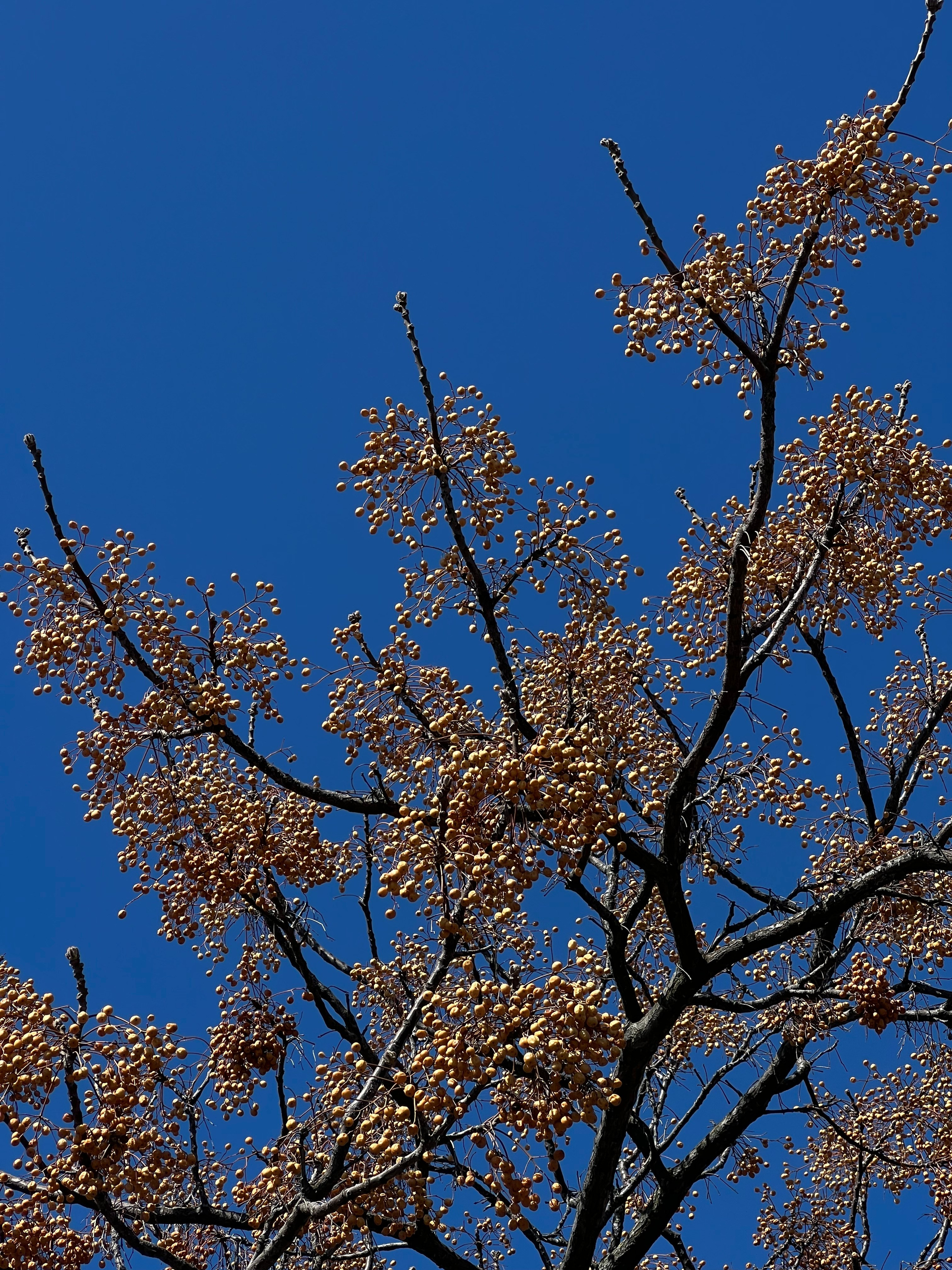 Fragments. Artem Khusainov