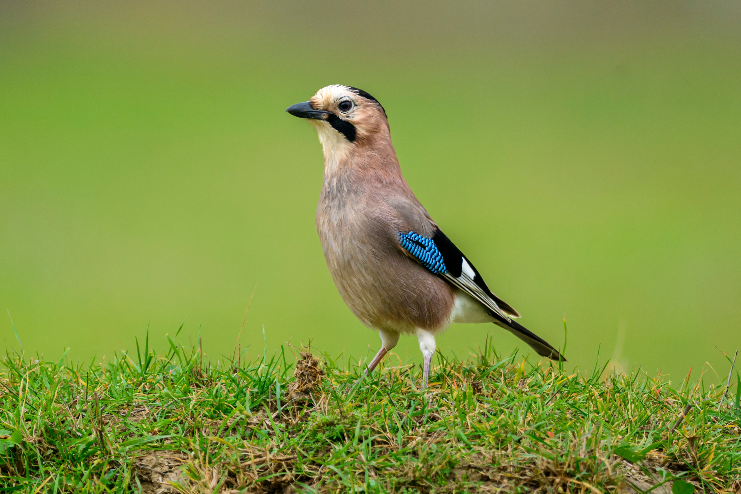 Дагестан. Ноябрь 2025. Фотограф Сергей Пупонин