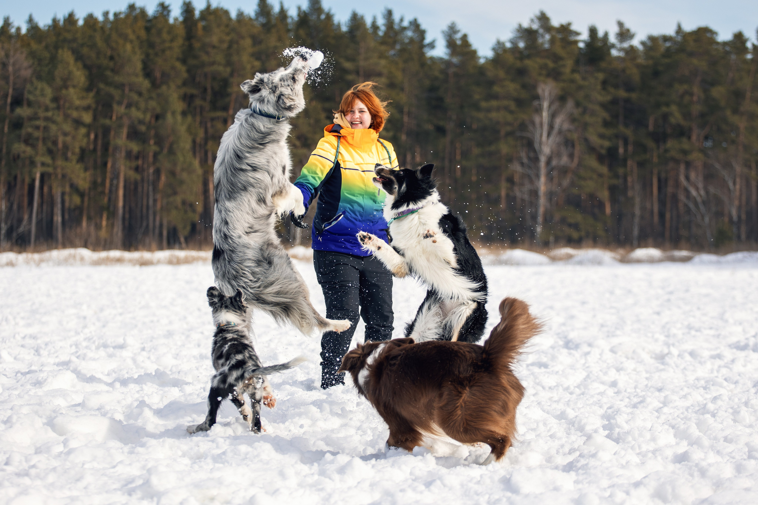 В погоне за снежком…. YULA KOLESOVA | Фотограф — Анималист | Художник | Тюмень