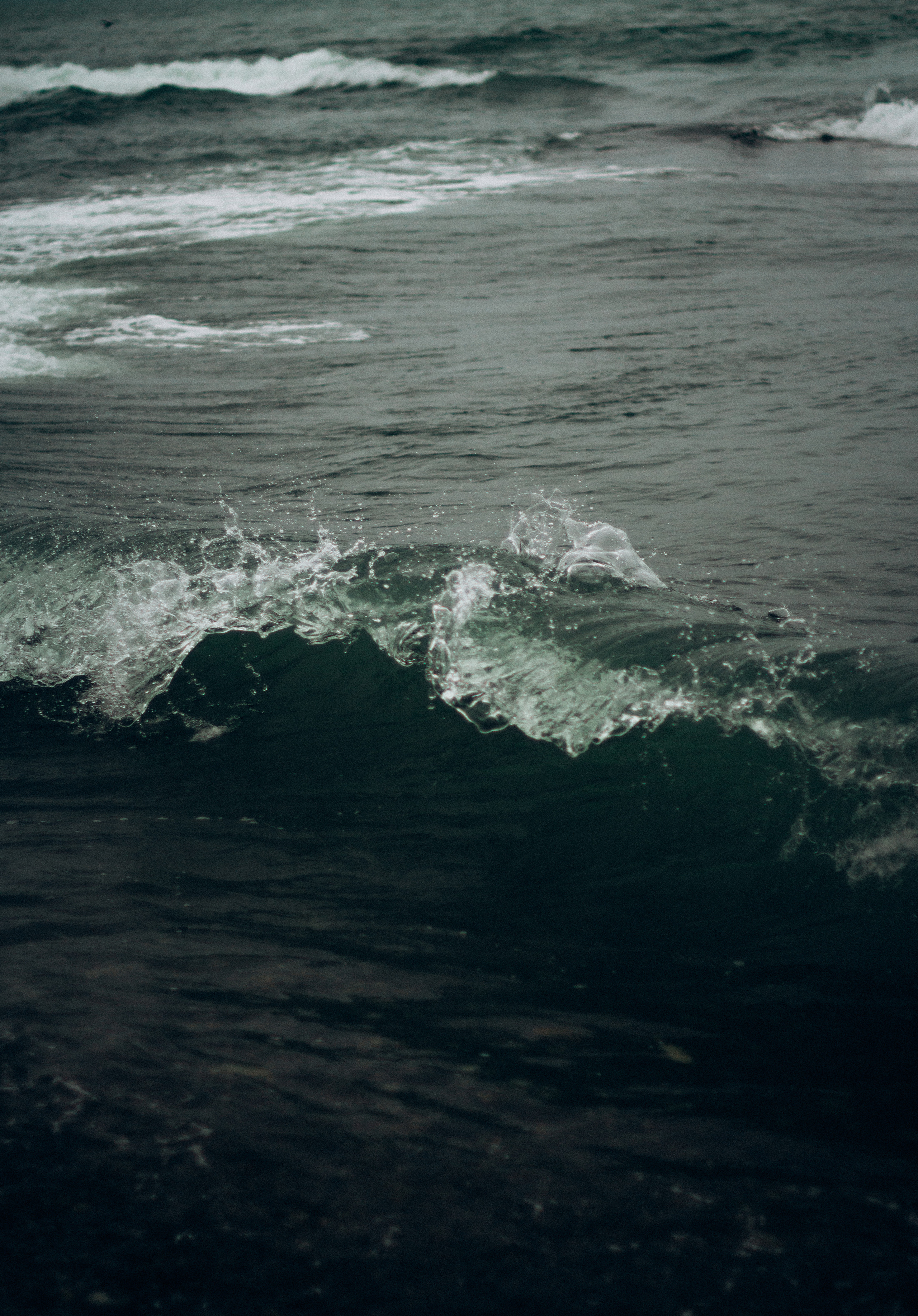 Морское. Фотограф Сочи. Екатерина Афанасьева