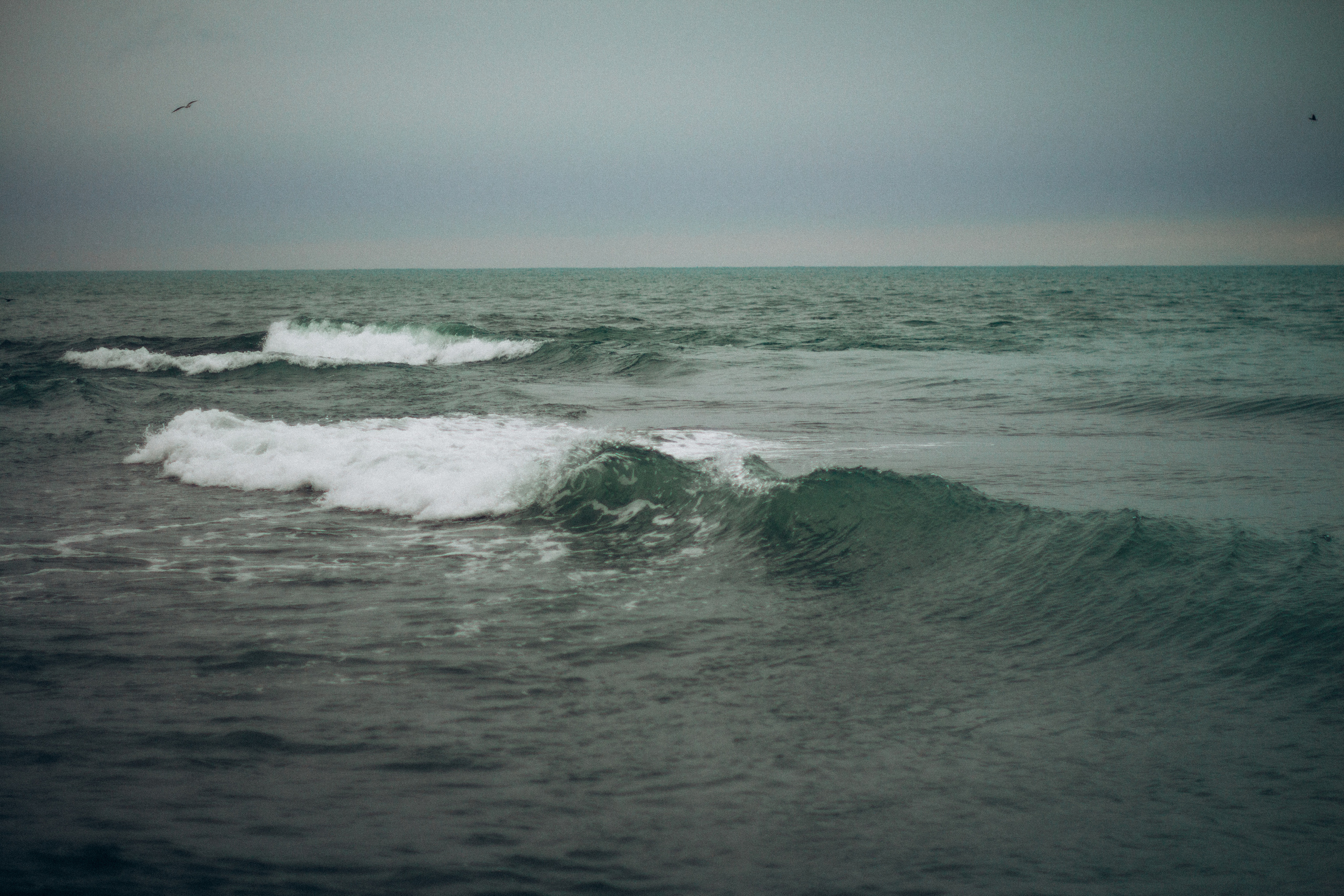 Морское. Фотограф Сочи. Екатерина Афанасьева