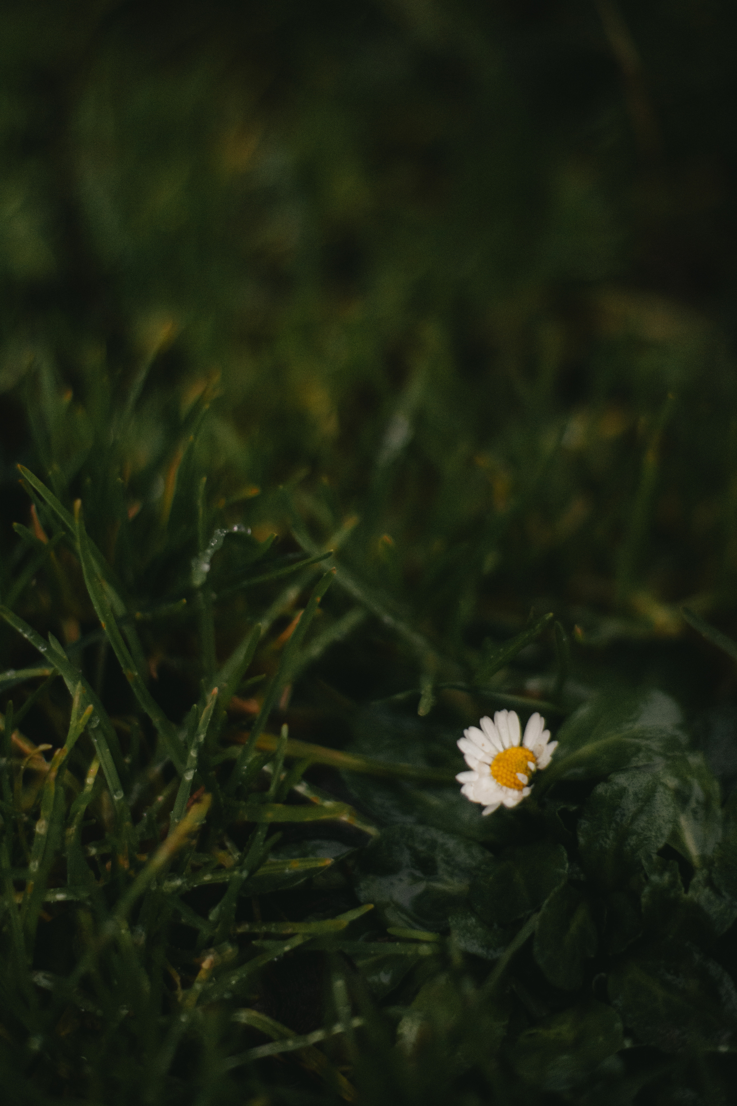 Гордость и предубеждение. Фотограф Сочи. Екатерина Афанасьева