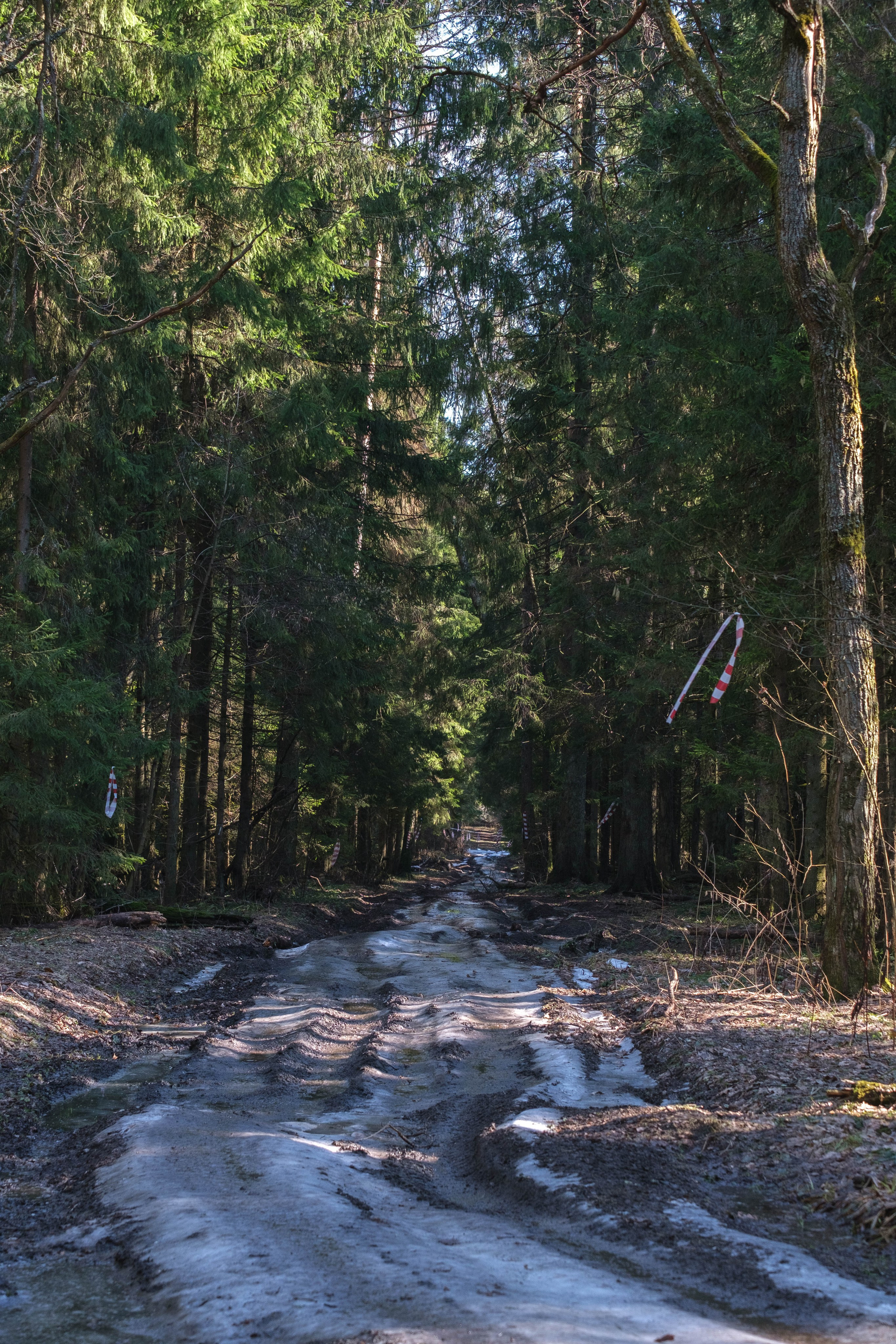 OPEN BAND ЛЁД | 09 марта 2025. Фотограф Диана Иремадзе