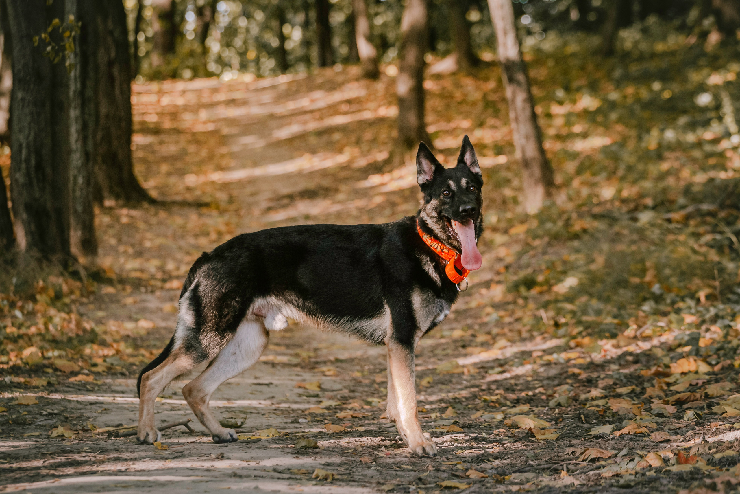 Илай. Фотограф-анималист Татьяна Степанова