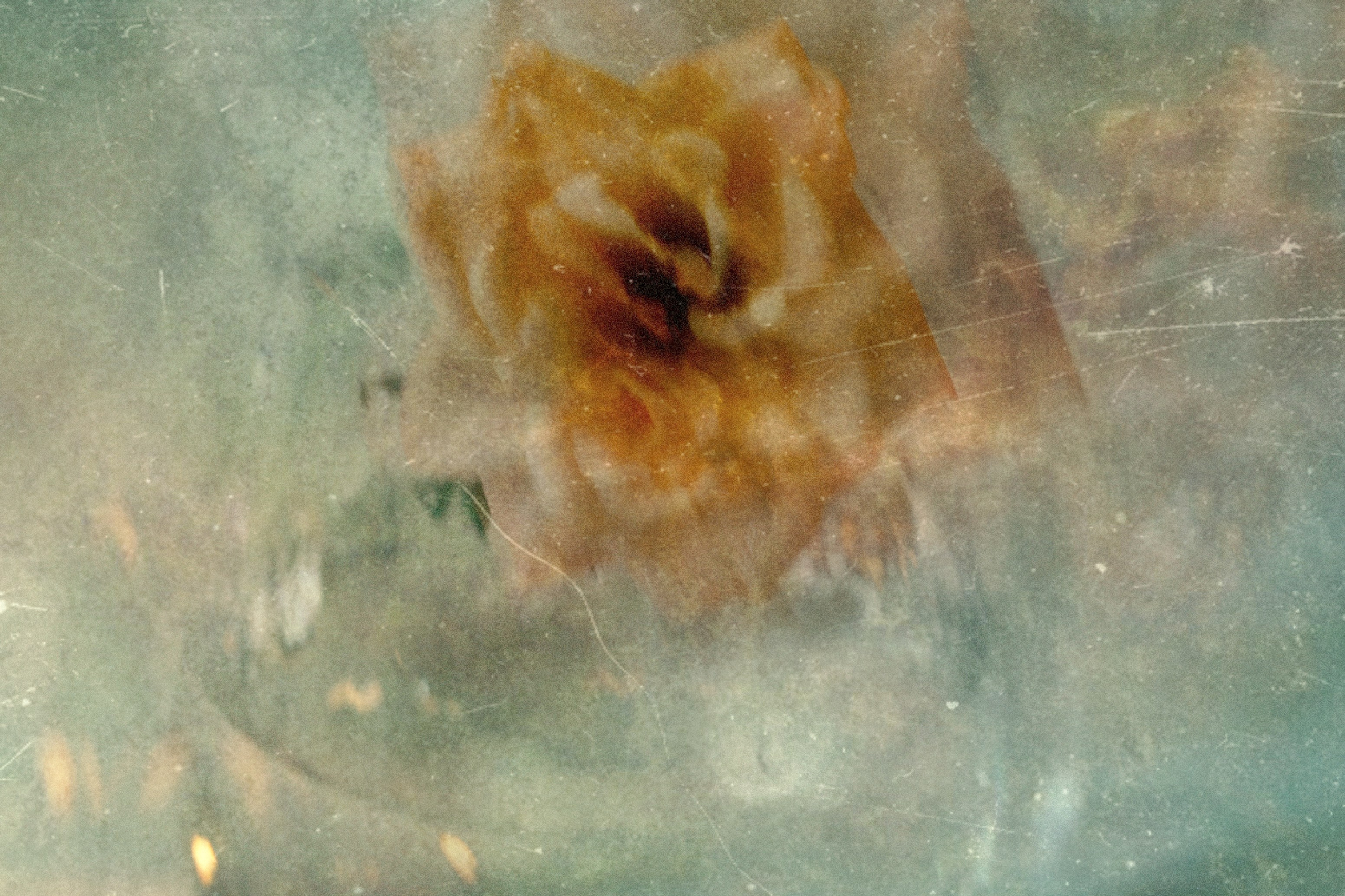 Эфемерность. Элина Михальцова, визуальный артист, фотограф в Екатеринбурге