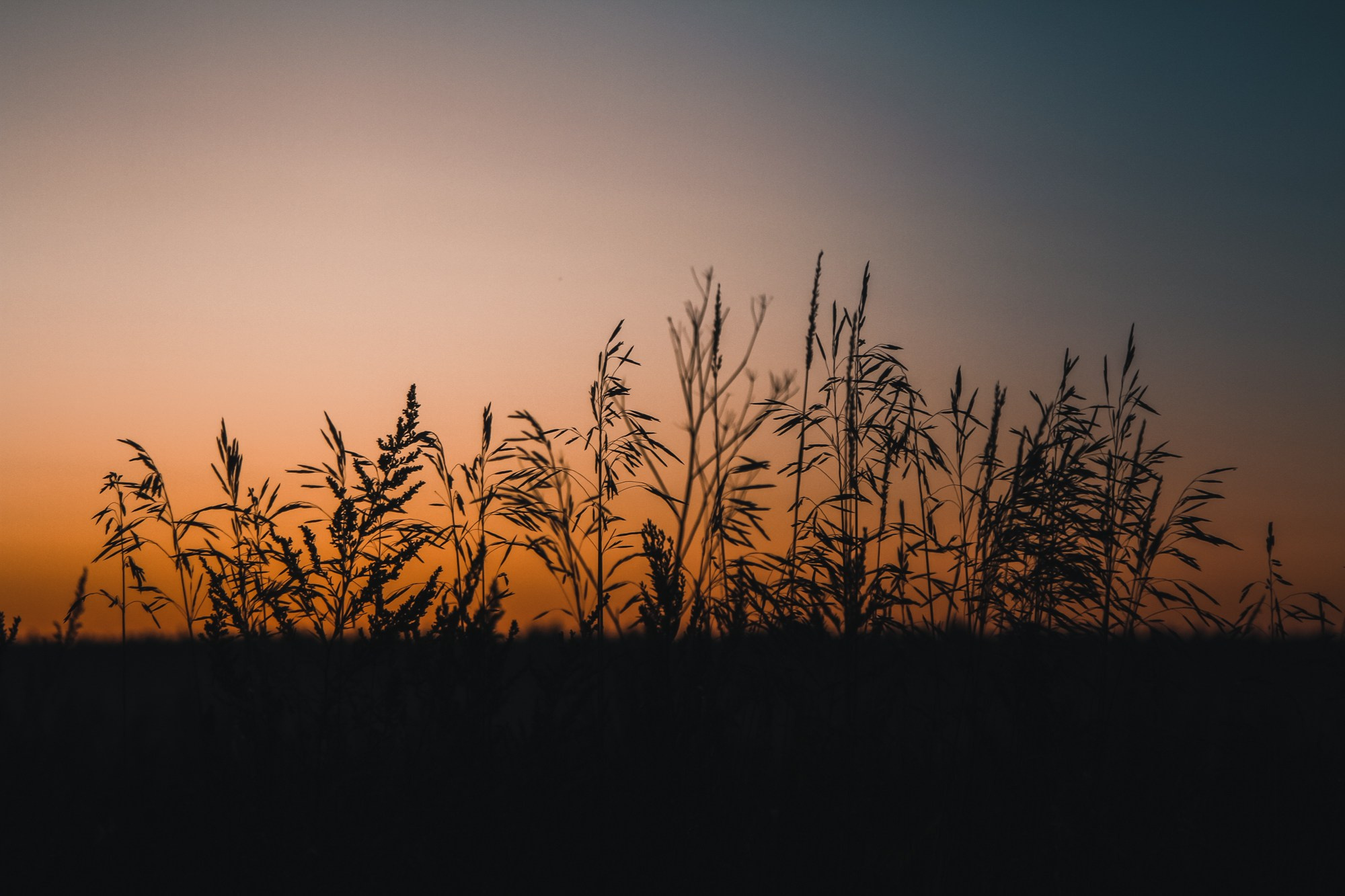 Природа. Андреева Полина l Портретный фотограф в Москве