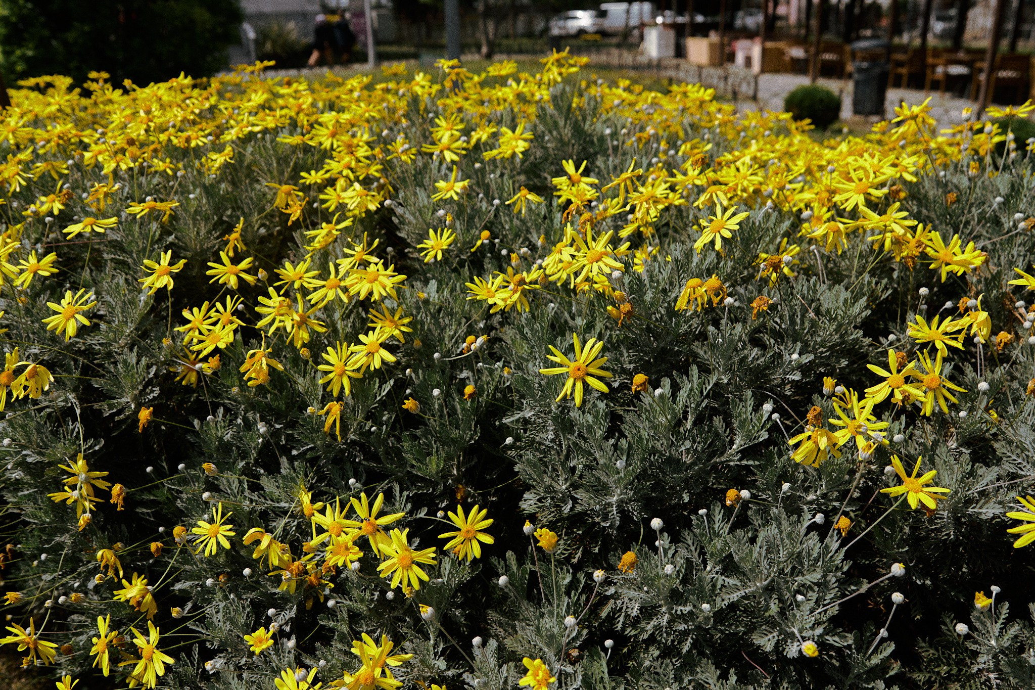 Улица горизонтальная. Jorgis — фотограф в Хургаде / обучение фотографии