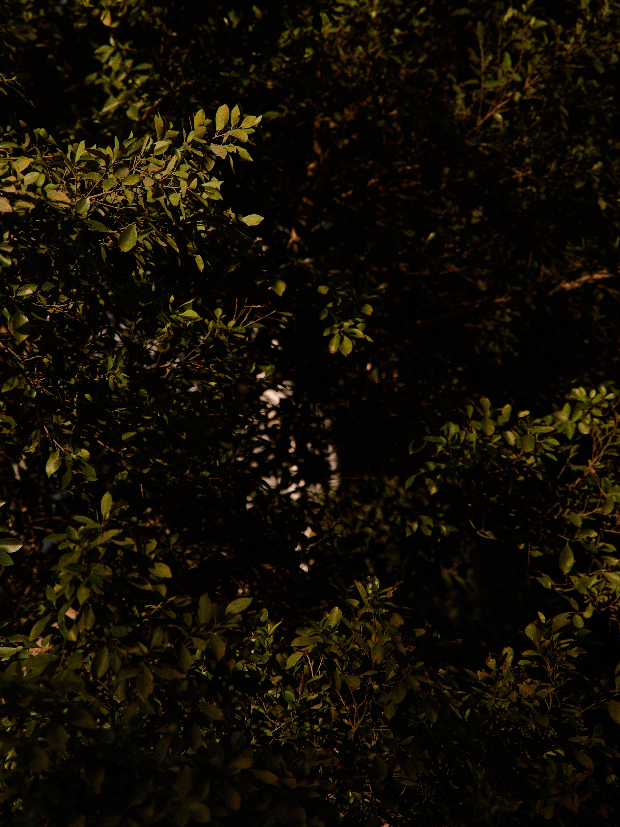 Диптих. Jorgis — фотограф в Хургаде / обучение фотографии