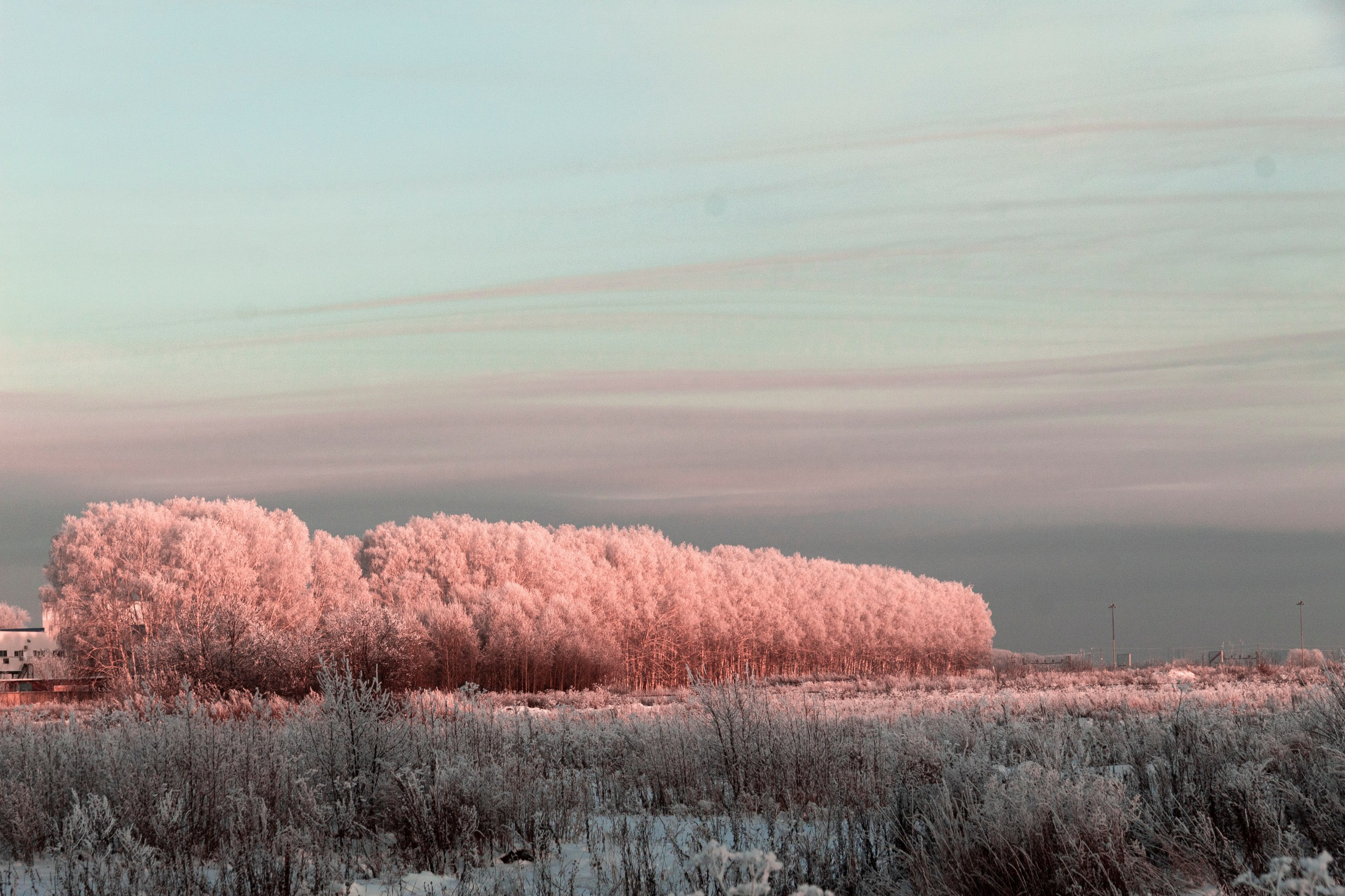 Некрасов Александр фотограф Новосибирск