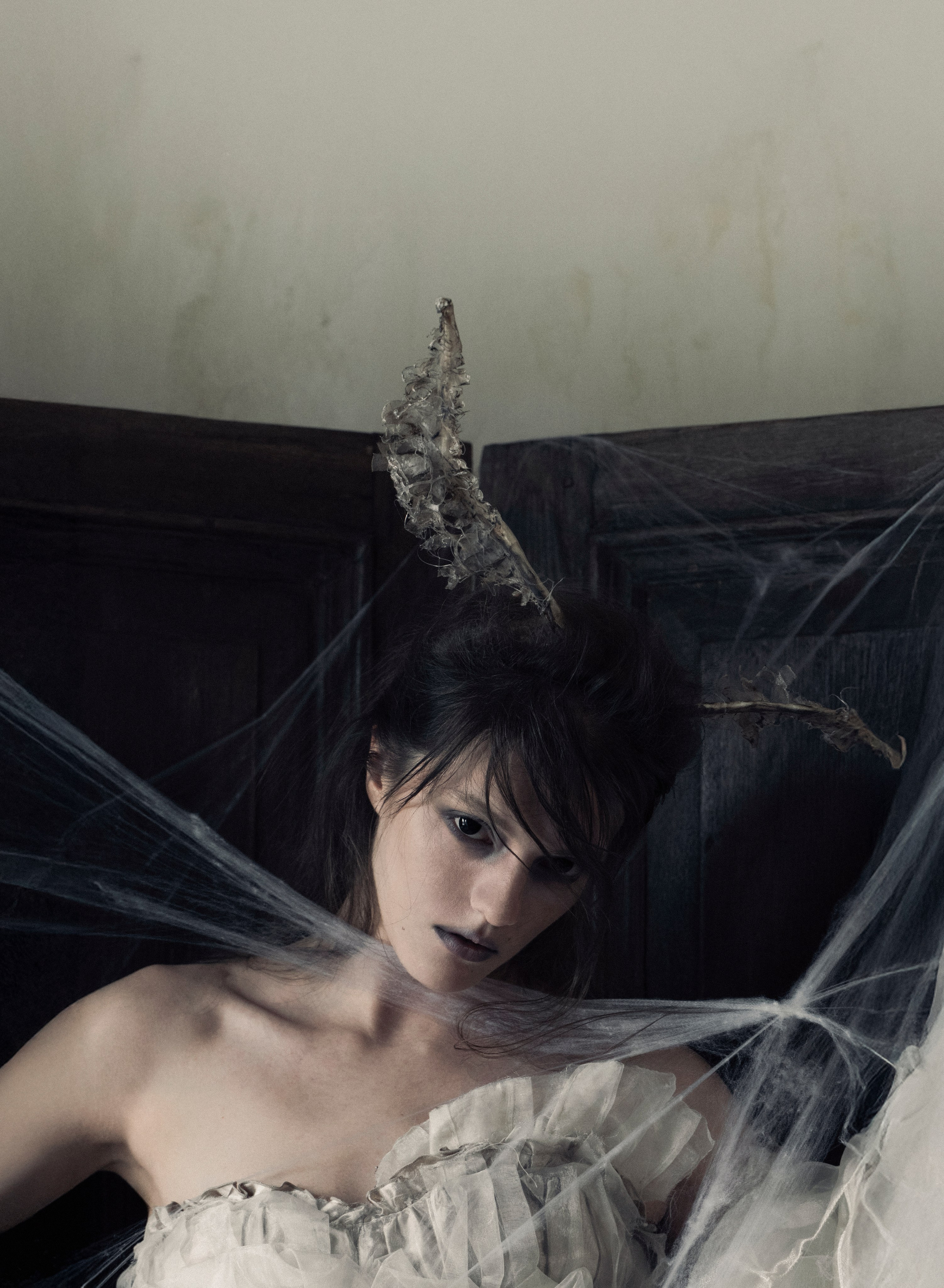 Моль. Фотограф Anita Mivchas