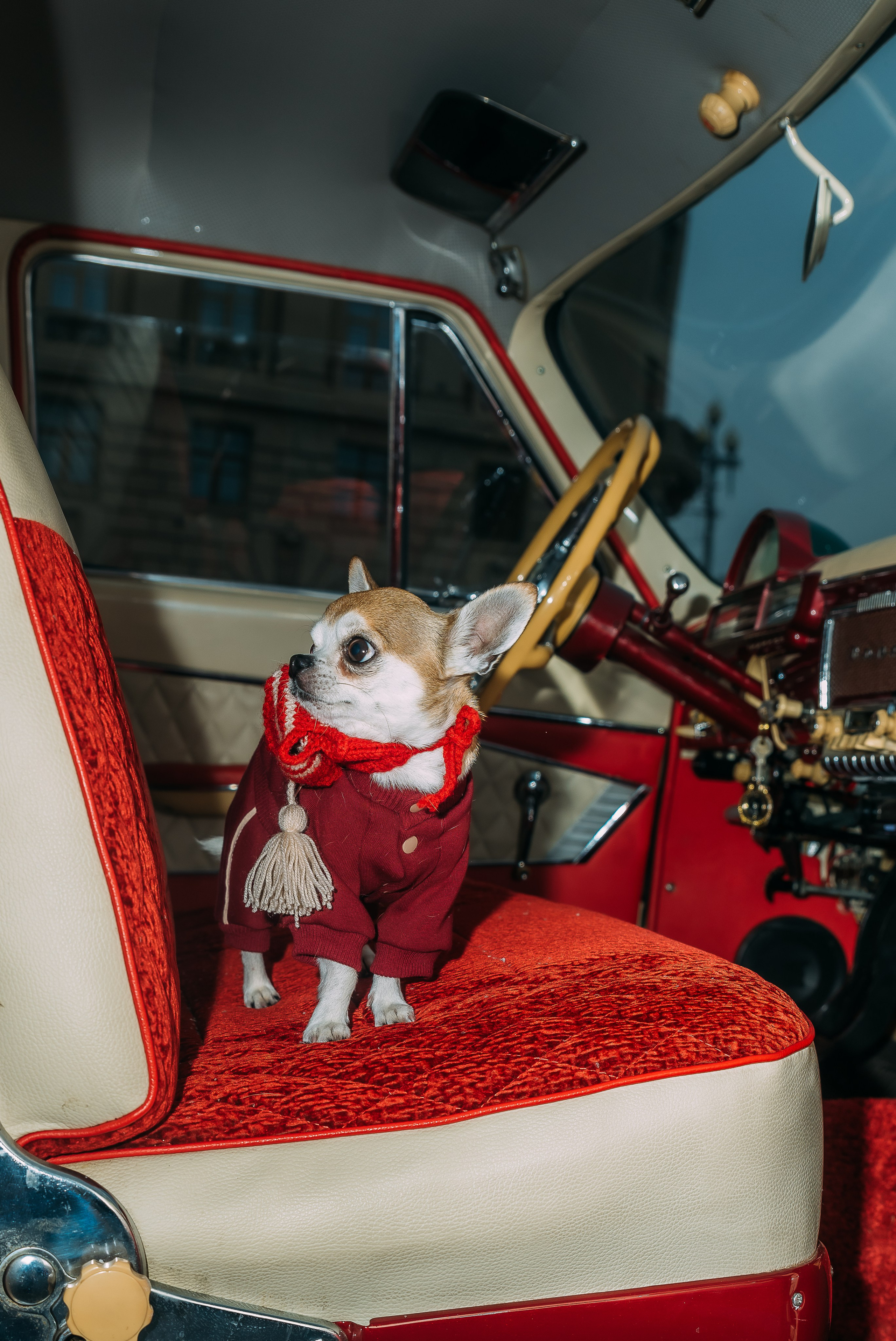 ЛЕНА и БРУНО. Ольга Козлова фотограф Волгоград olkiny-fotki.ru