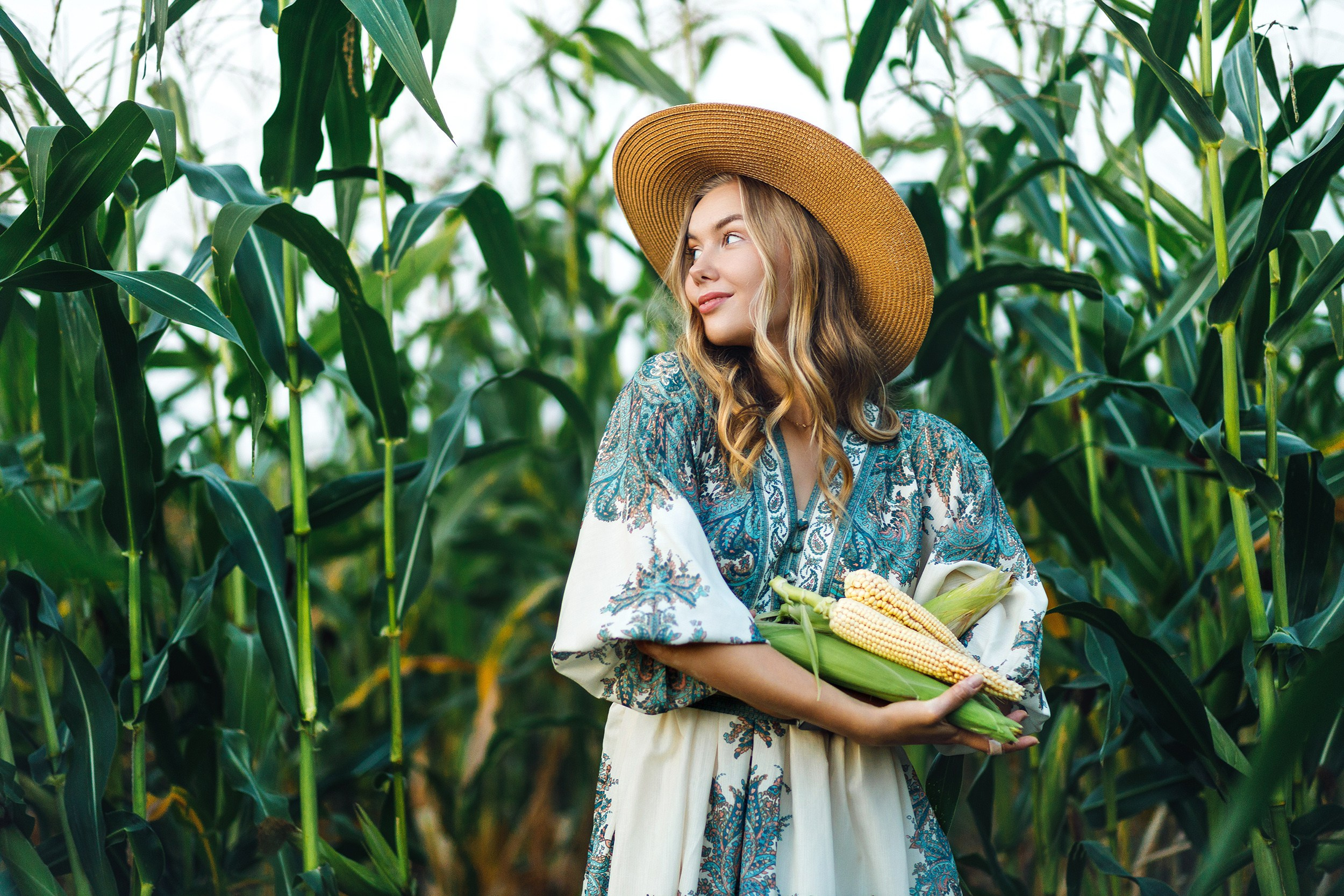Кукуруза. Школьный и детский фотограф Старожилово