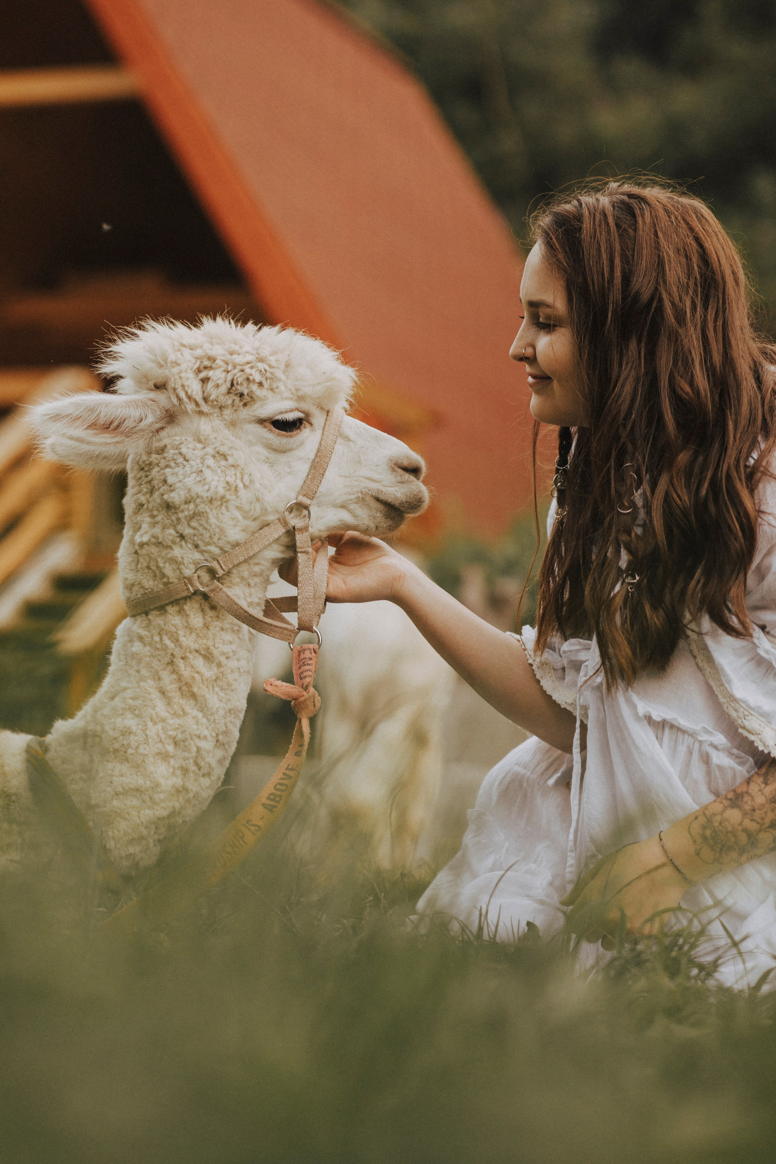 TIGRAN & VICTORIA | KISLOVODSK. Фотограф Настя Конник | Пятигорск | Эльбрус | Домбай | Архыз