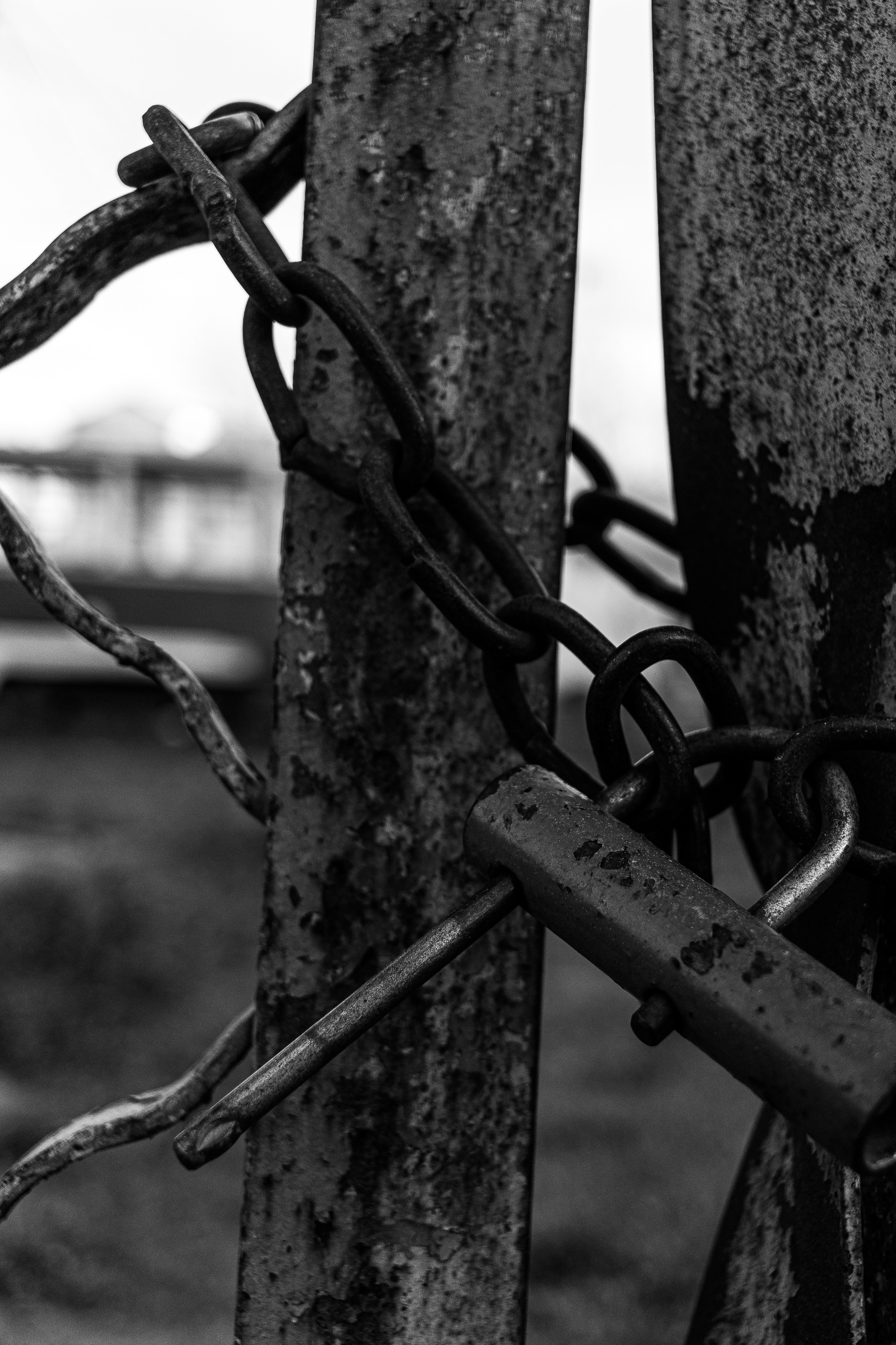 UrbanRothkoStreet. Street photographer