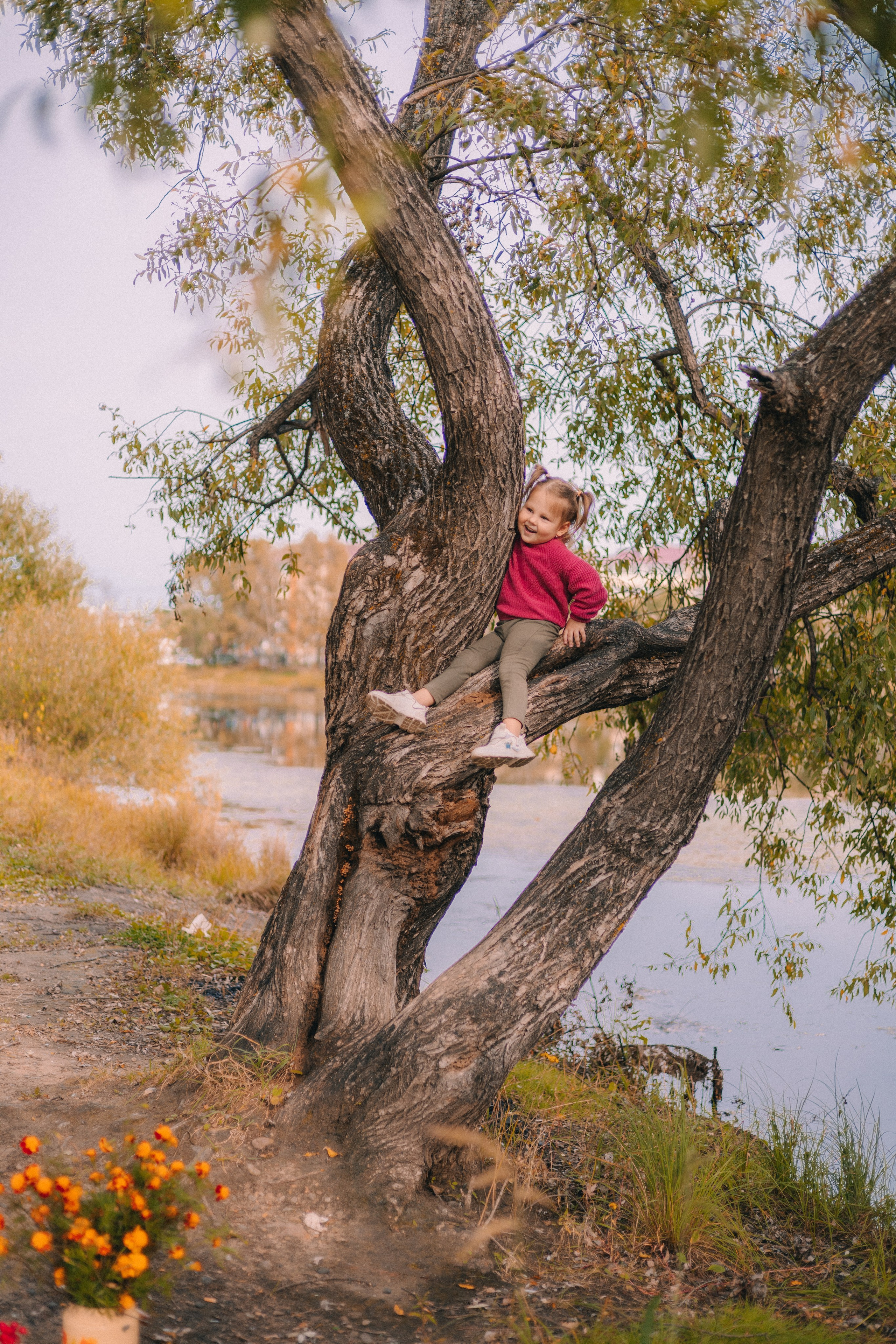 Детский семейный фотограф. Детский и семейный фотограф  Биробиджан Оля Светагор