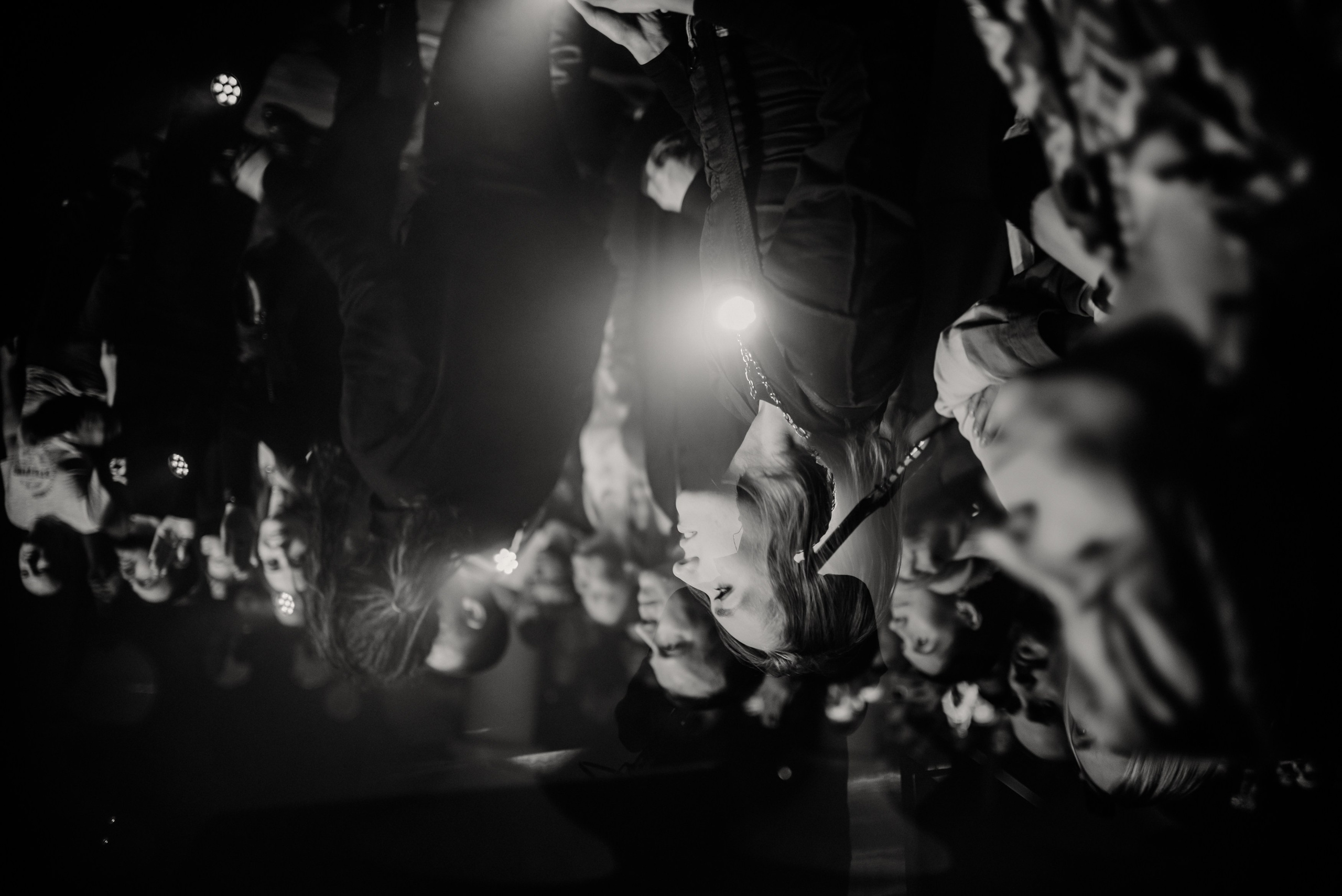 Дельфин | Gaudi. Контент фотограф Илья Урс