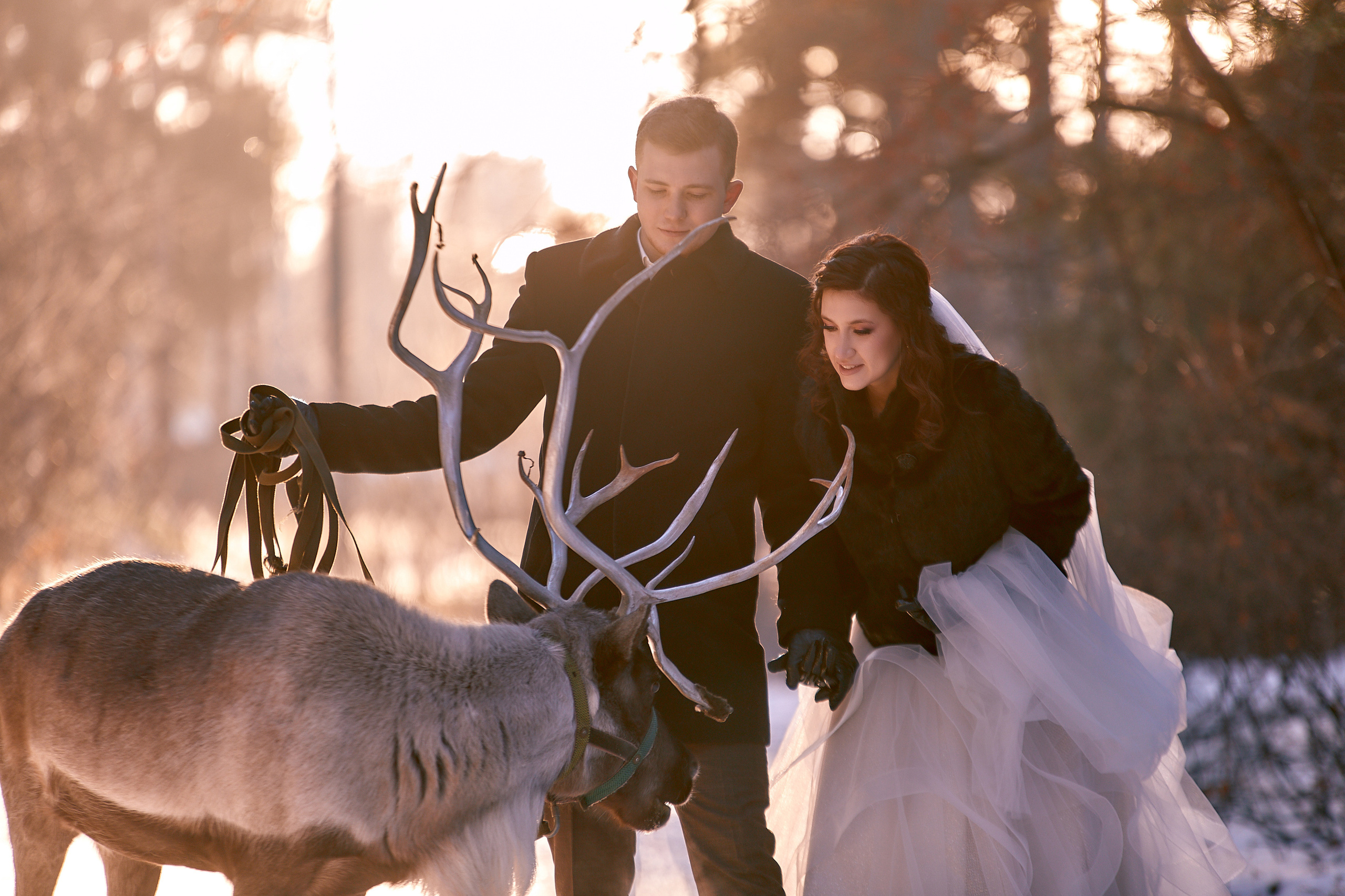 Свадьбы. Александр Кашин, репортажный фотограф в Челябинске и Екатеринбурге