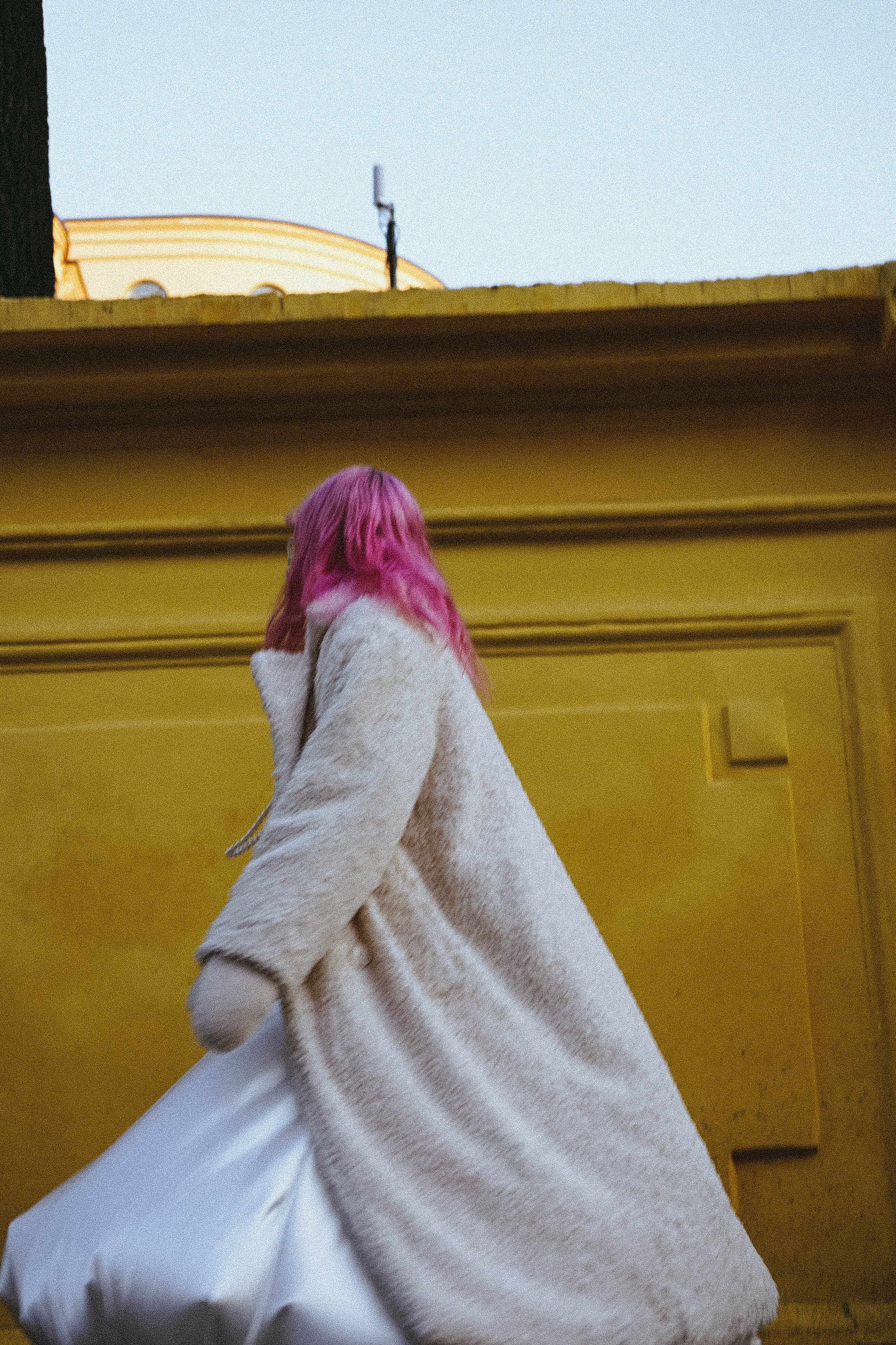 Тюльпаны. Профессиональный фотограф, Санкт-Петербург — Виктория Богомолова