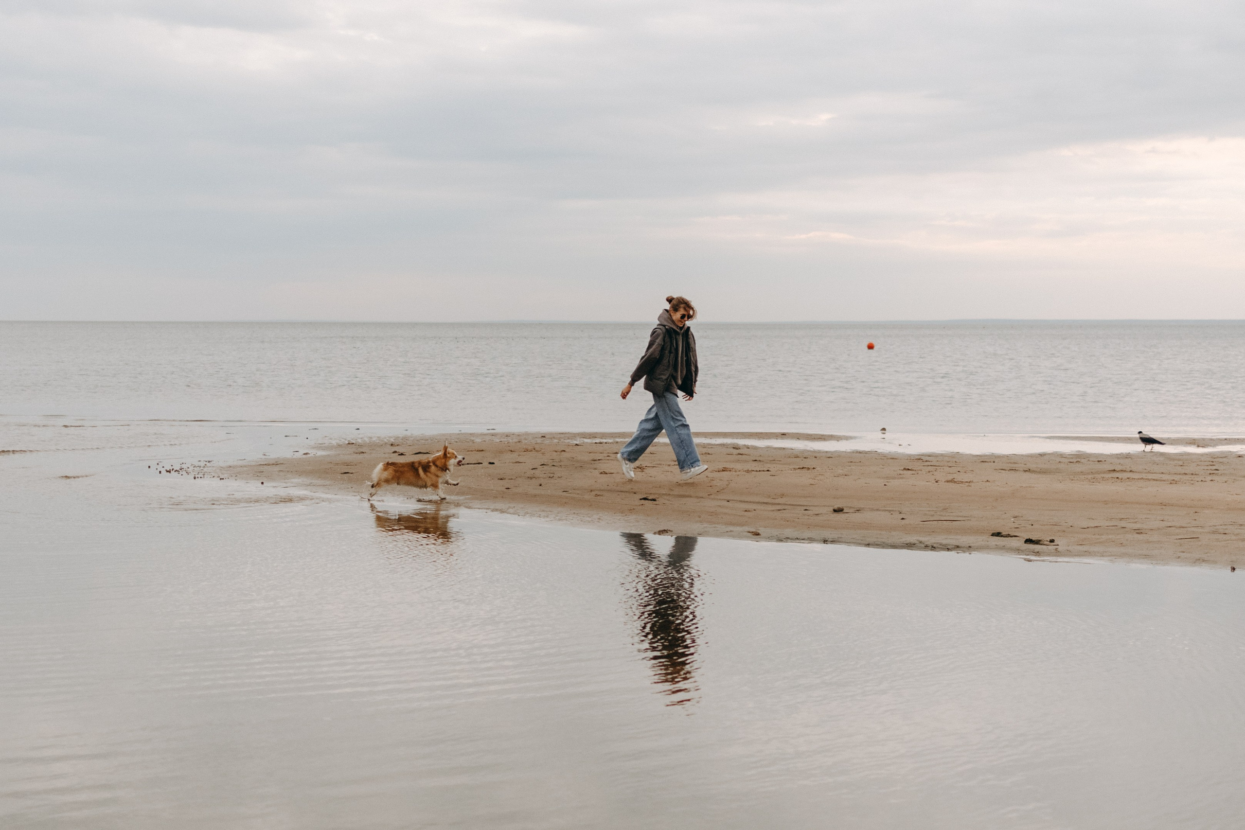 Лиза и Бакс. Фотограф — Анималист | Санкт-Петербург