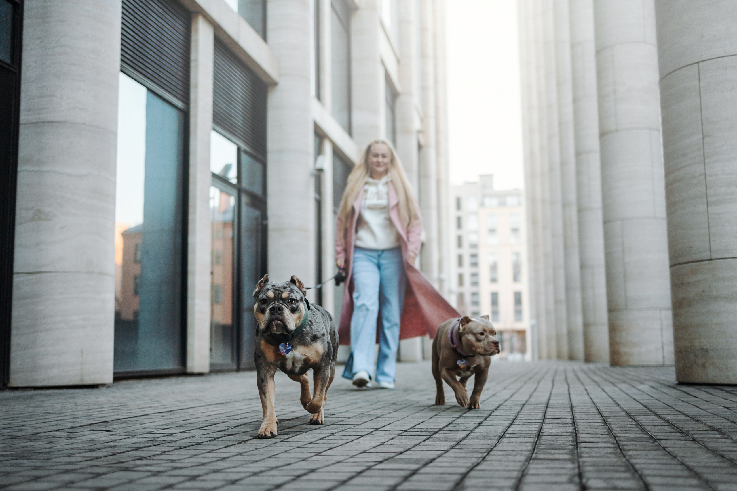 Лера и ее булочки. Фотограф — Анималист | Санкт-Петербург