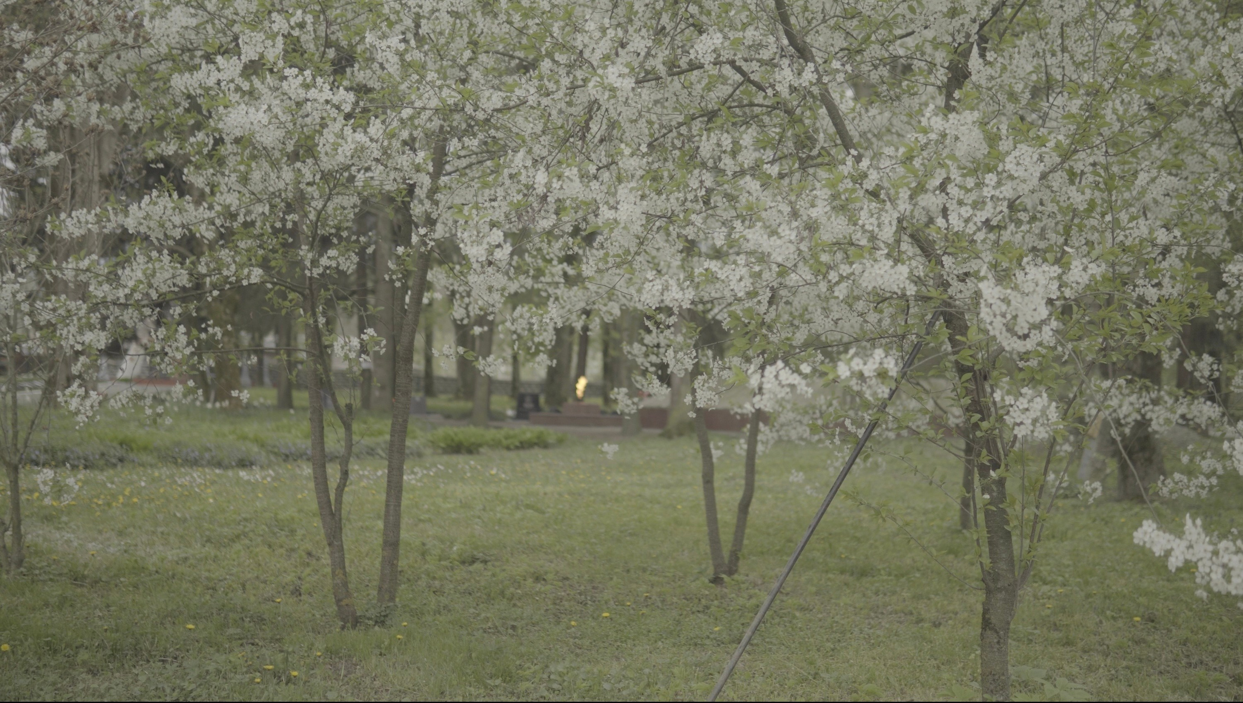 Ничего не было видно и приходилось прислушиваться. Художественная группа «Нежные Бабы»